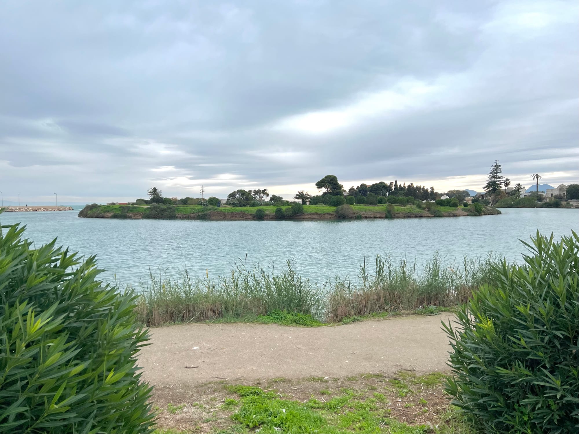 A calm round lagoon with a low green island in the middle, ringed by reeds and shrubs under a grey sky
