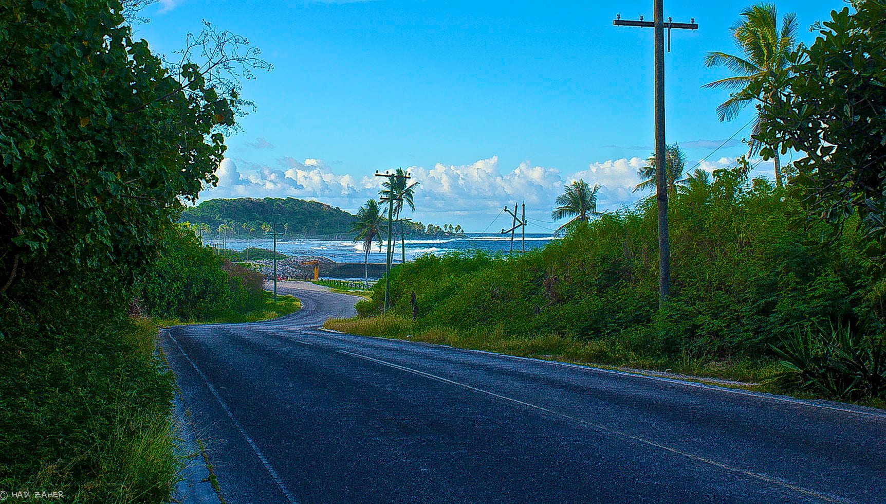 A curving coastal road between dense green bushes and palm trees, with surf breaking on a reef beyond