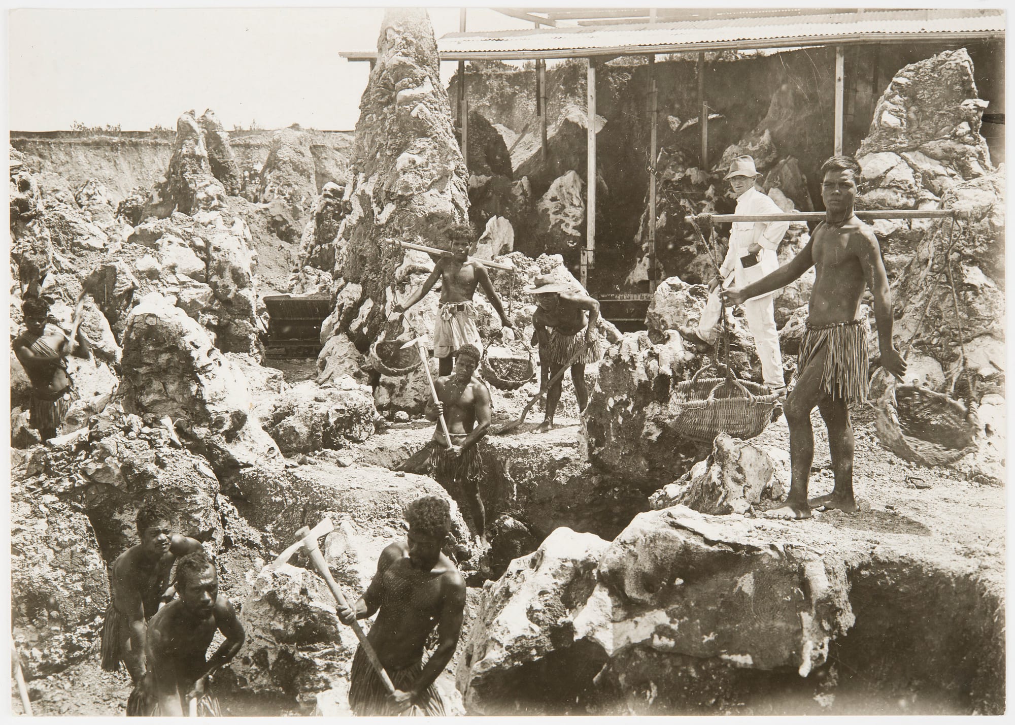 An old sepia photograph of Pacific Islander labourers with picks and baskets digging among tall rock pinnacles, watched by a man in a white suit
