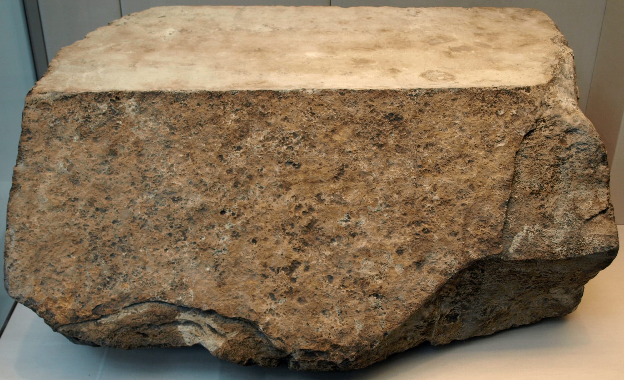 A large block of pale limestone with a smooth sloping top face and rough, pitted sides, displayed on a museum plinth