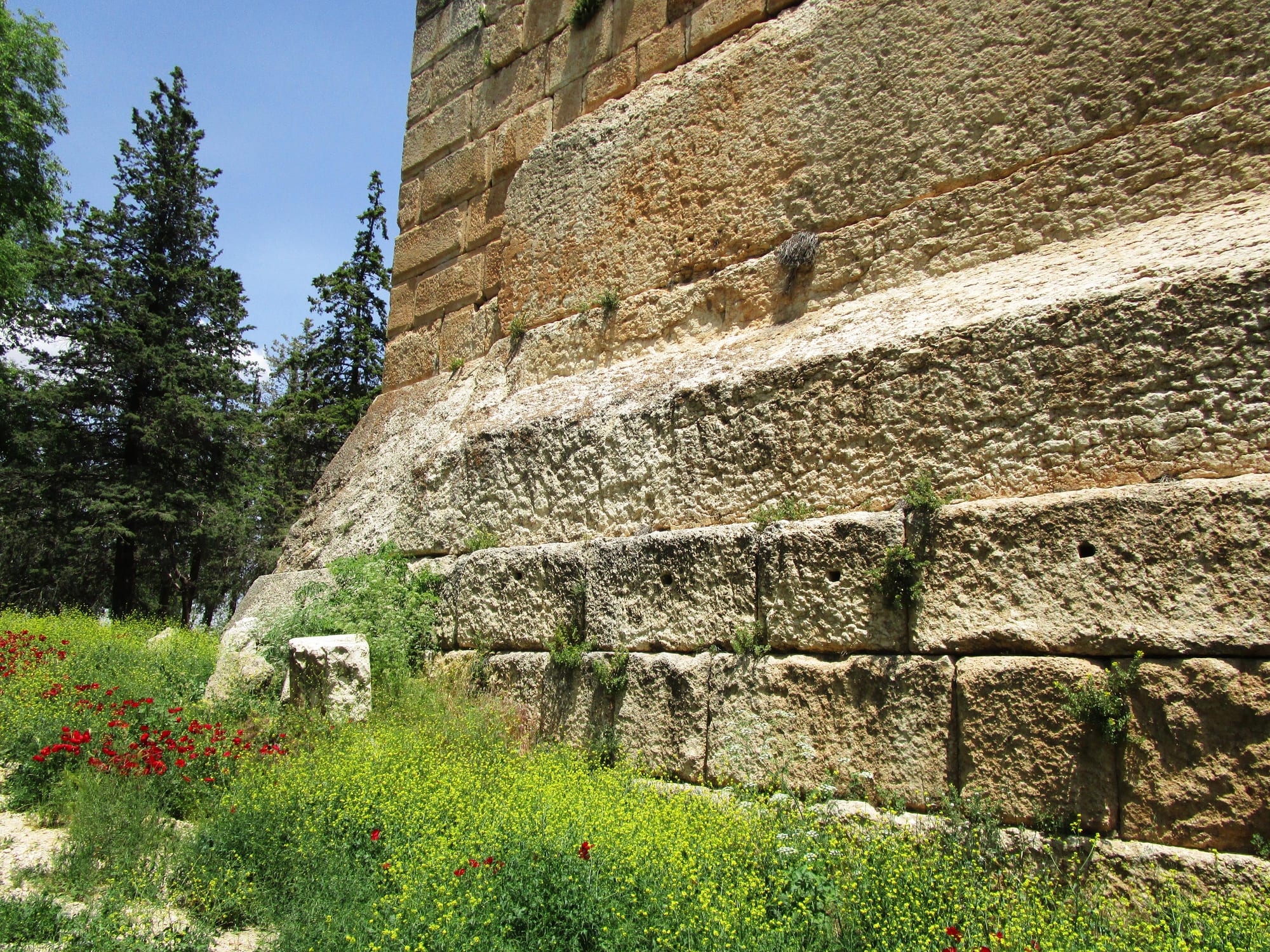 The base of a massive stone wall, with a course of ordinary blocks at the bottom, a row of enormously long blocks above it and smaller masonry on top, with poppies in the grass