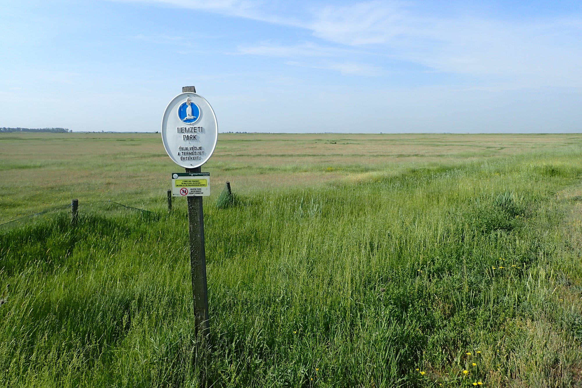 Flat open grassland stretching to the horizon under a huge sky, a well-sweep in the distance