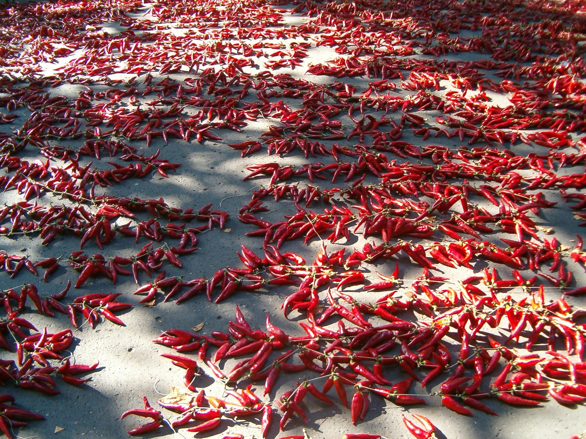 A large pile of bright red paprika powder