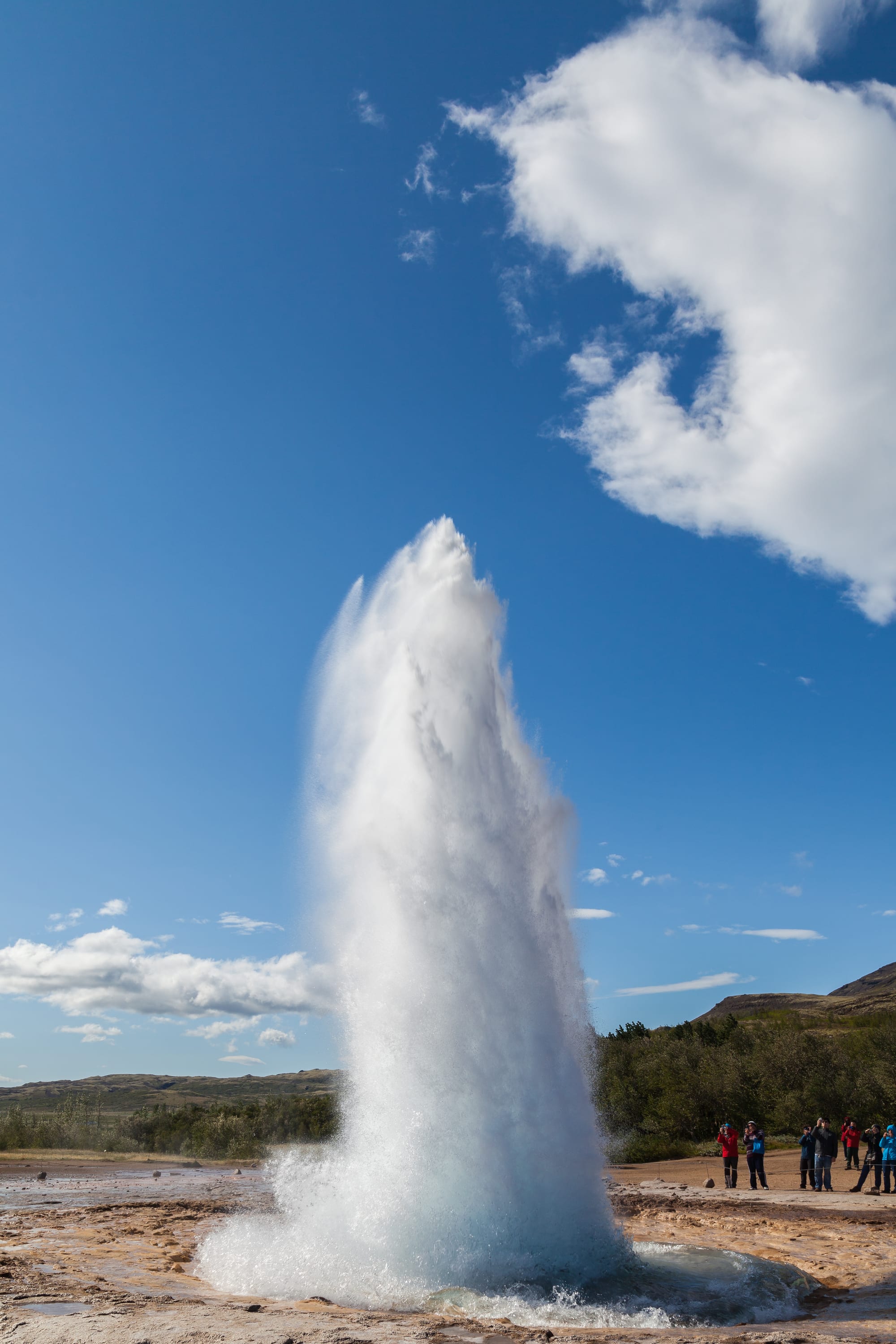 A column of water and steam erupting from a hot spring on a bare geothermal field