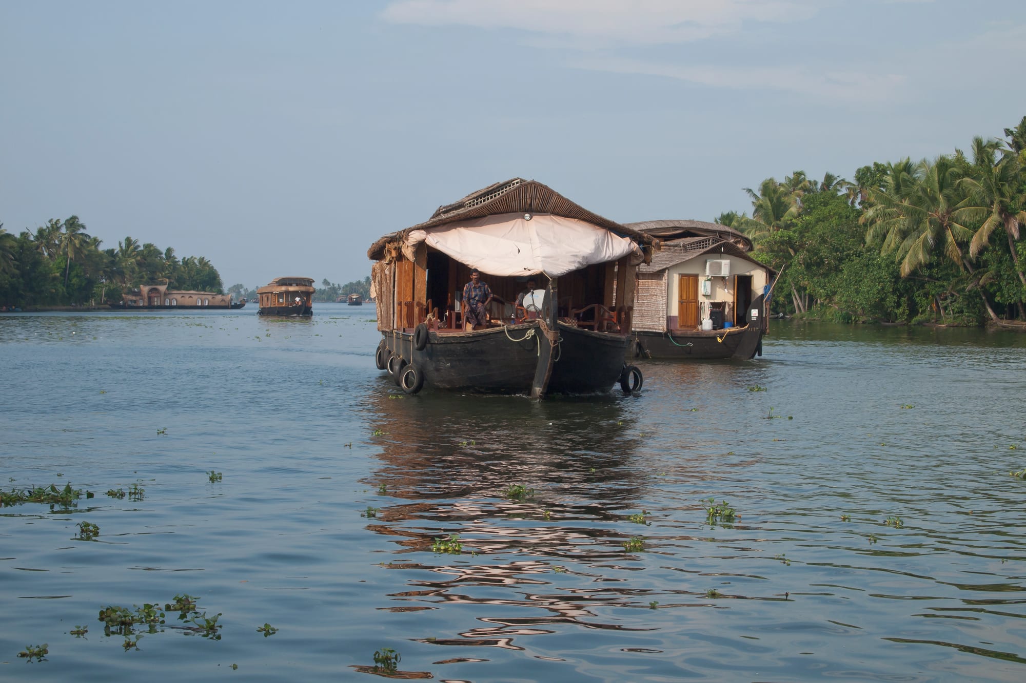 Thatched-roof houseboats moving along a wide, palm-lined channel of calm water