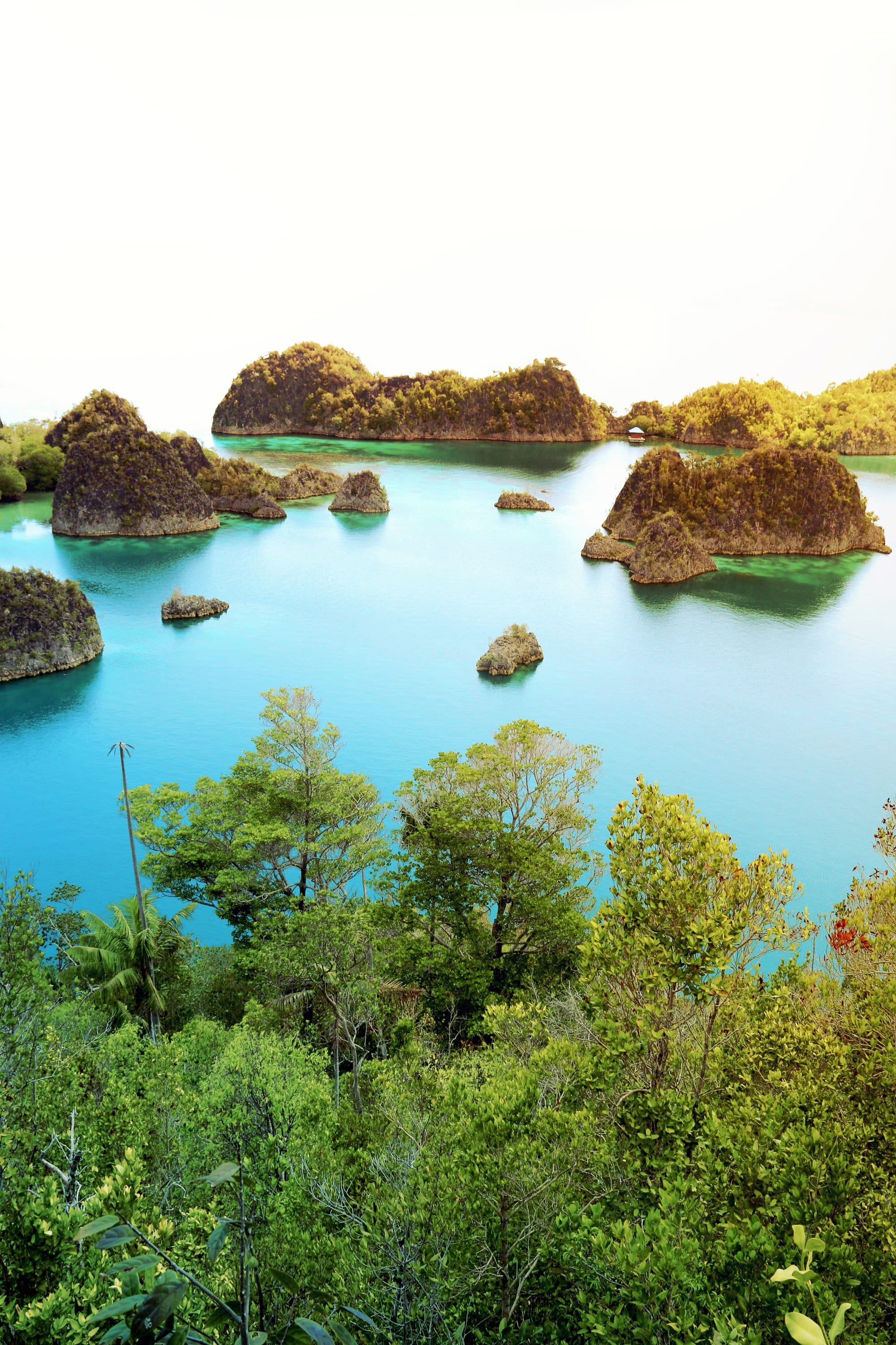 Dozens of tiny mushroom-shaped jungle islands scattered across brilliant turquoise water