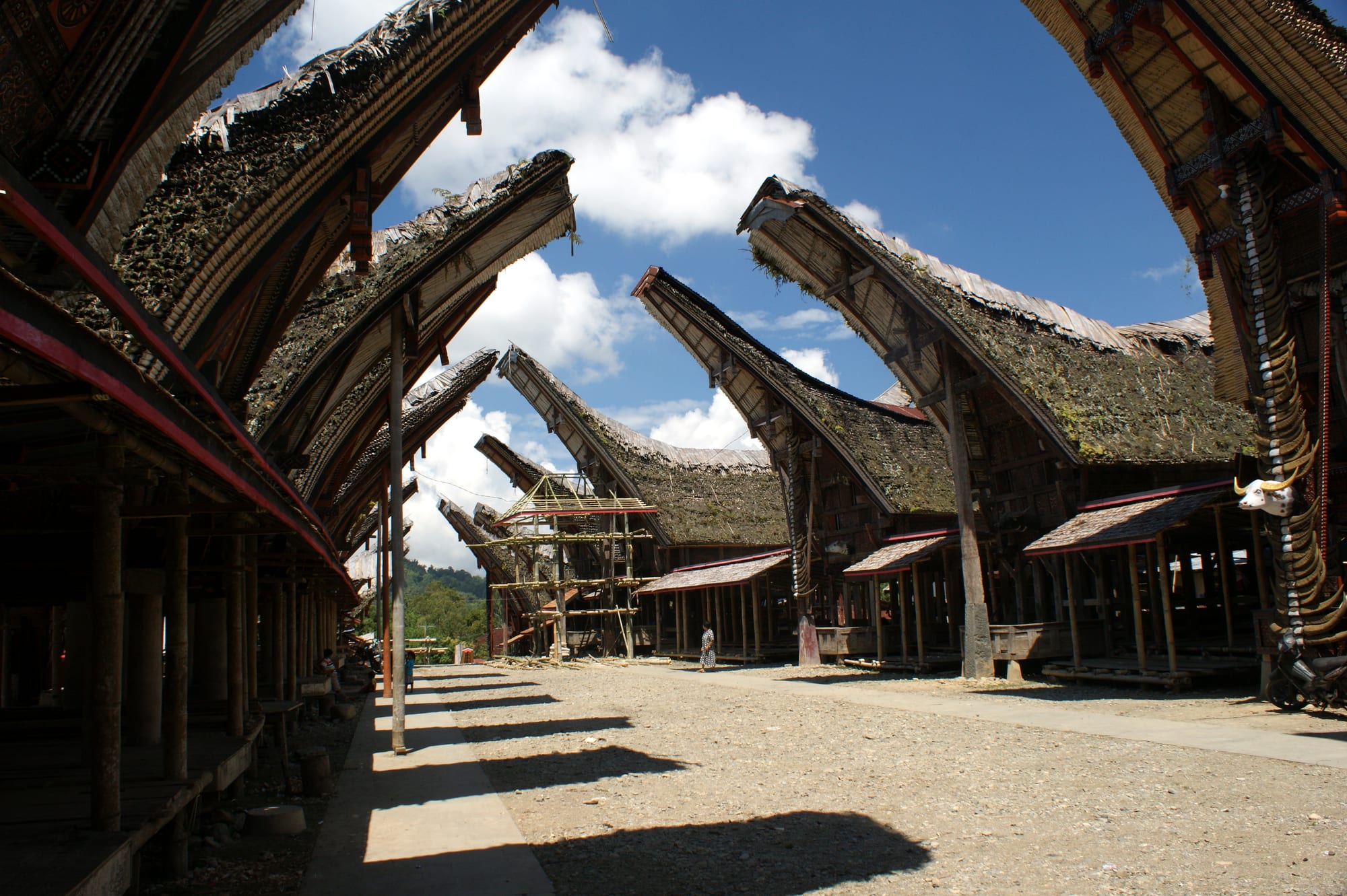 A row of houses with enormous upswept boat-shaped roofs and carved, painted facades