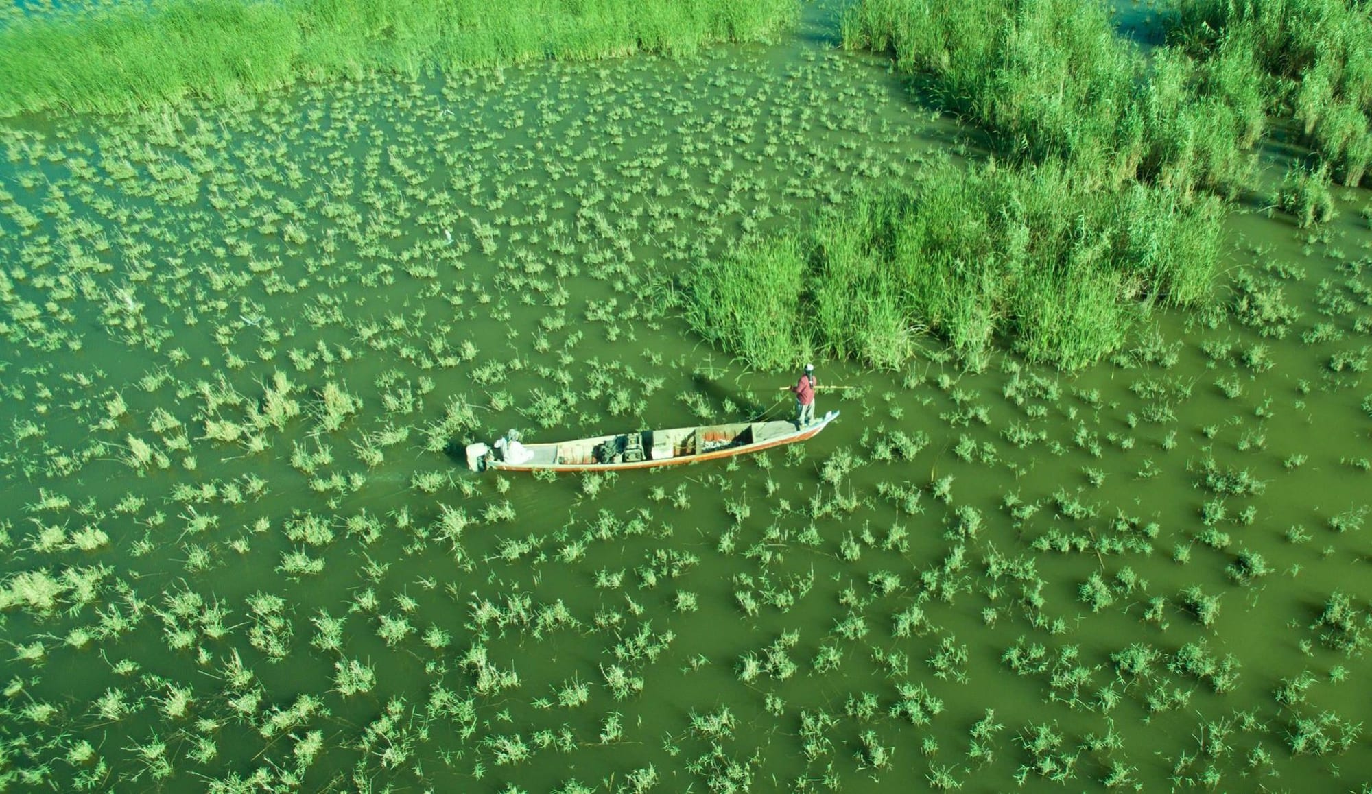 Reed islands and narrow water channels under a wide sky, a canoe in the distance