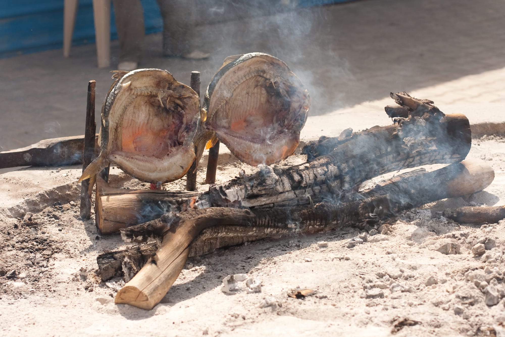 Whole butterflied fish grilling upright around an open fire