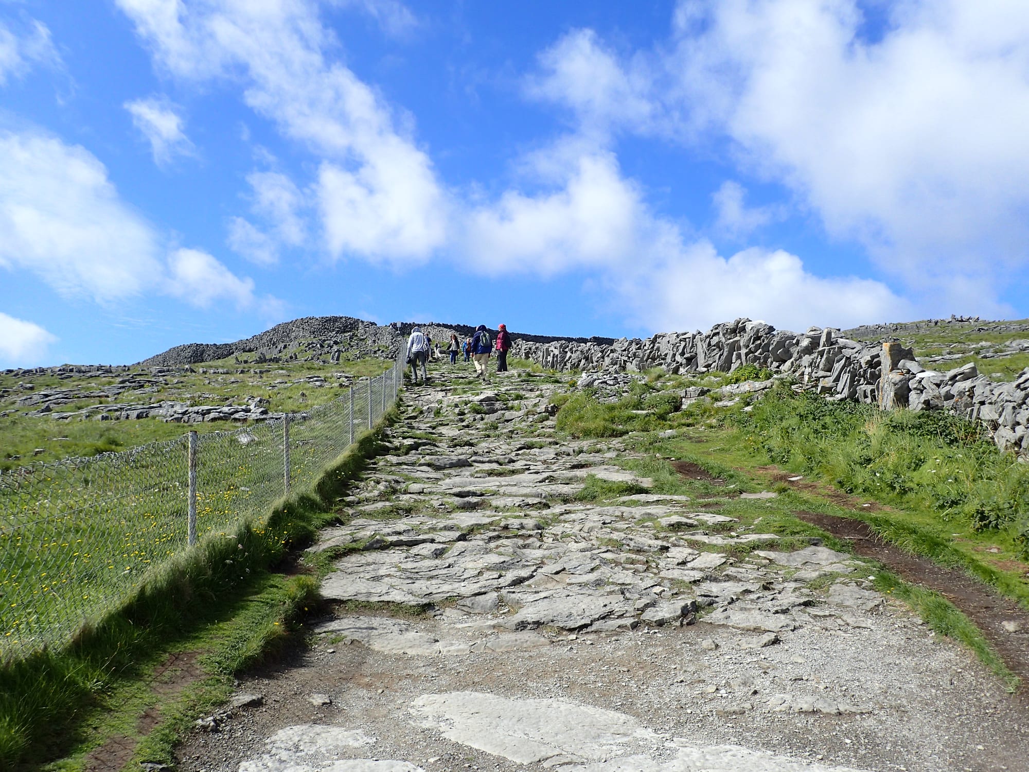 A stony path crossing bare limestone fields divided by dry-stone walls toward the sea