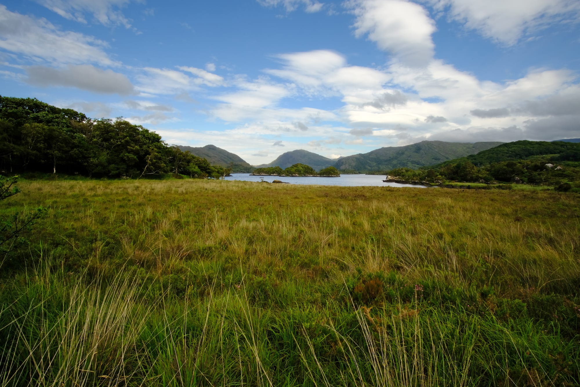 A lake with wooded islands reflecting mountains under a cloudy sky