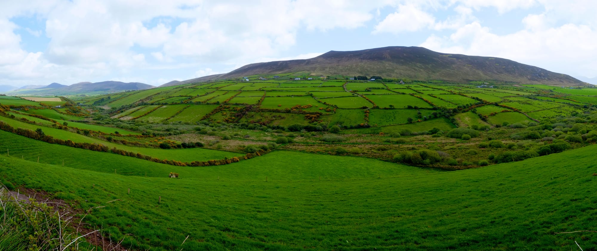 Green fields divided by stone walls running down to a rugged Atlantic coastline