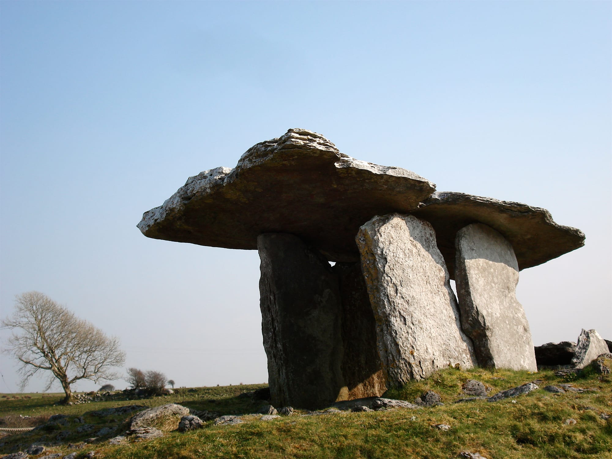 A prehistoric stone dolmen of upright slabs carrying a huge tilted capstone, on rough grass with a bare wind-bent tree behind