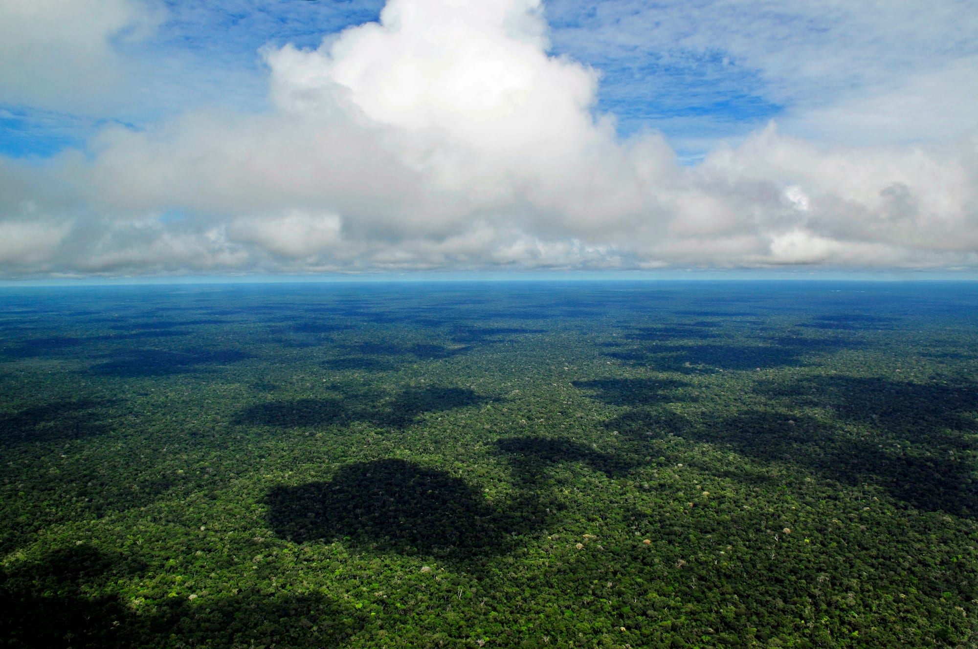 An unbroken green carpet of rainforest stretching to the horizon under towering white clouds that cast dark shadows on the canopy