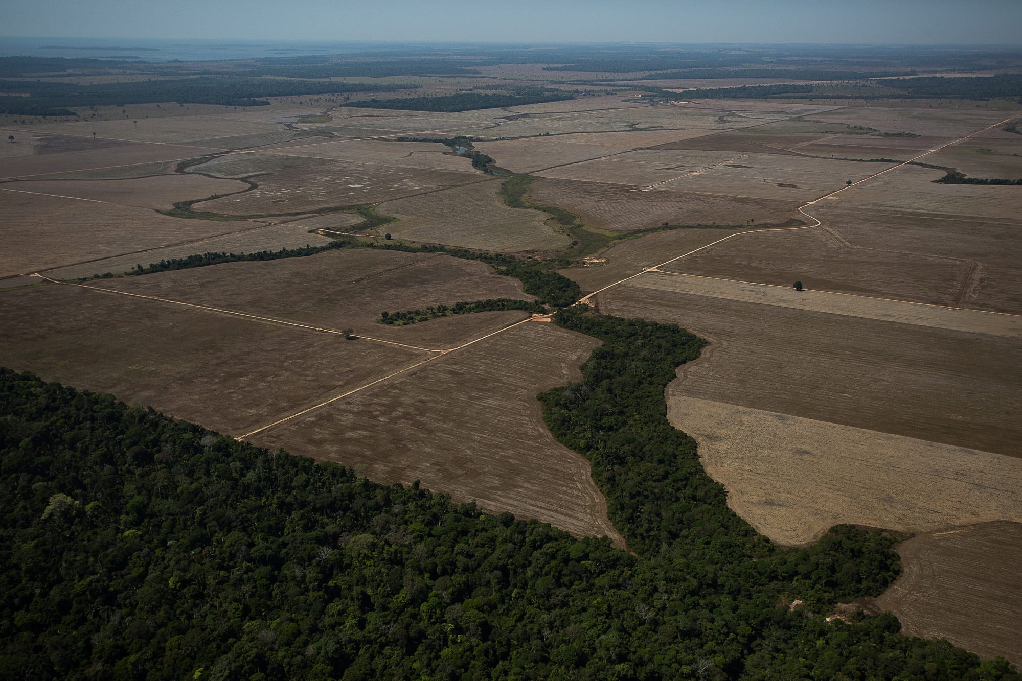 Aerial view of a dense forest edge giving way to vast bare brown fields crossed by dirt roads and thin strips of trees