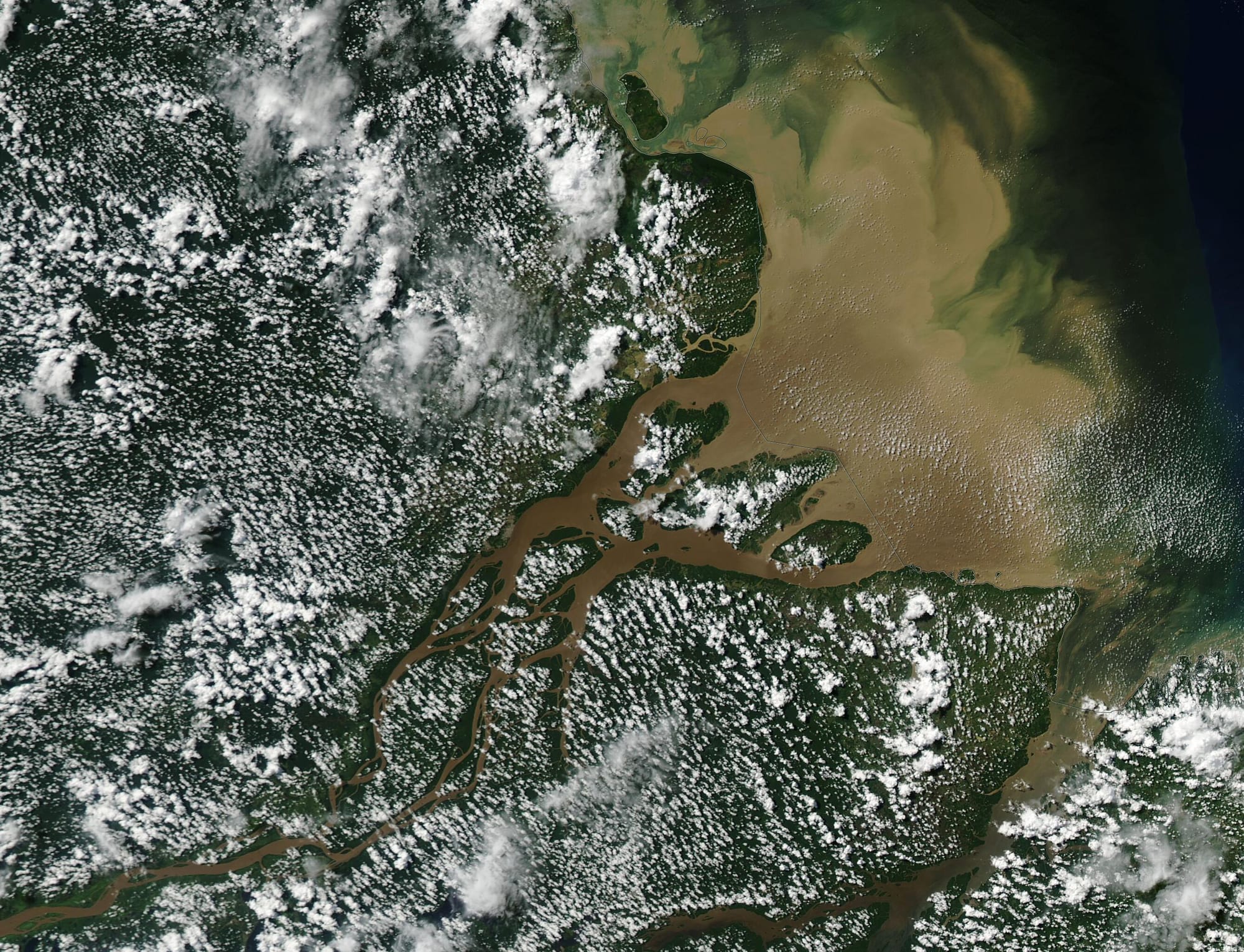 Satellite view of dark green forest dotted with small white clouds, cut by brown river channels flowing into a muddy sea