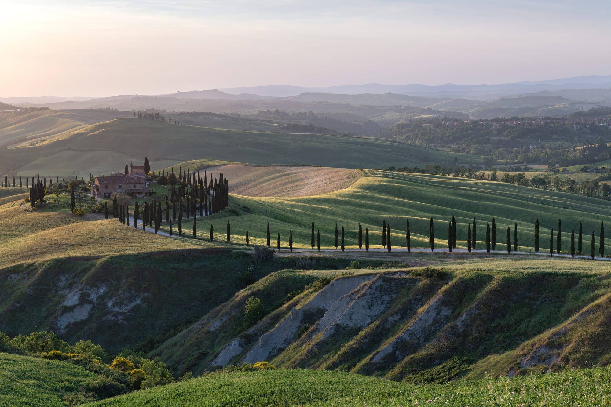 Rolling green hills at sunrise with a winding cypress-lined road leading to a farmhouse