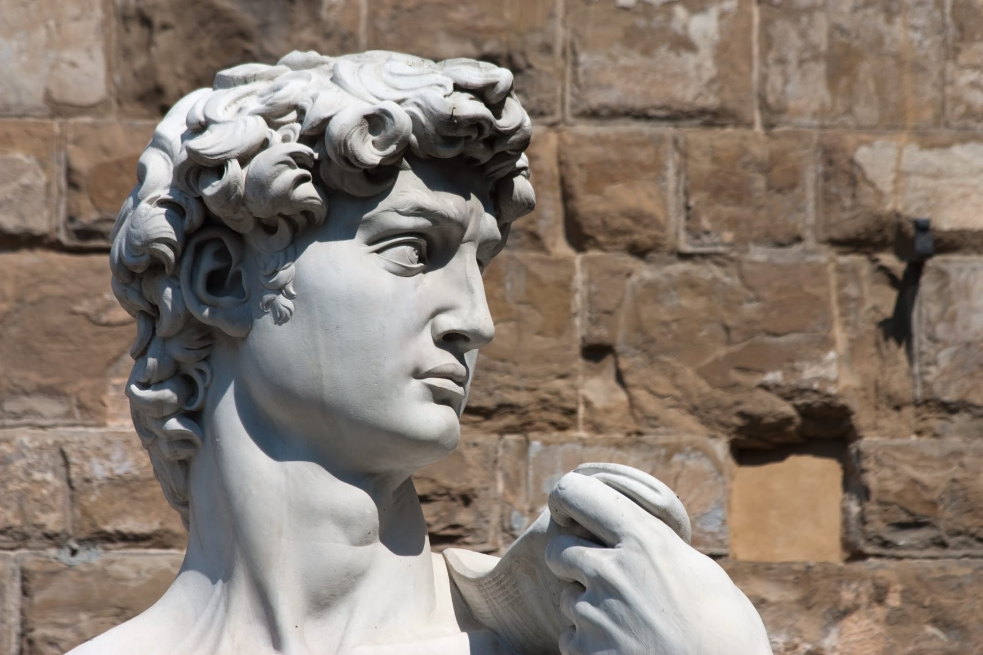 A close view of the head of Michelangelo's marble statue of David