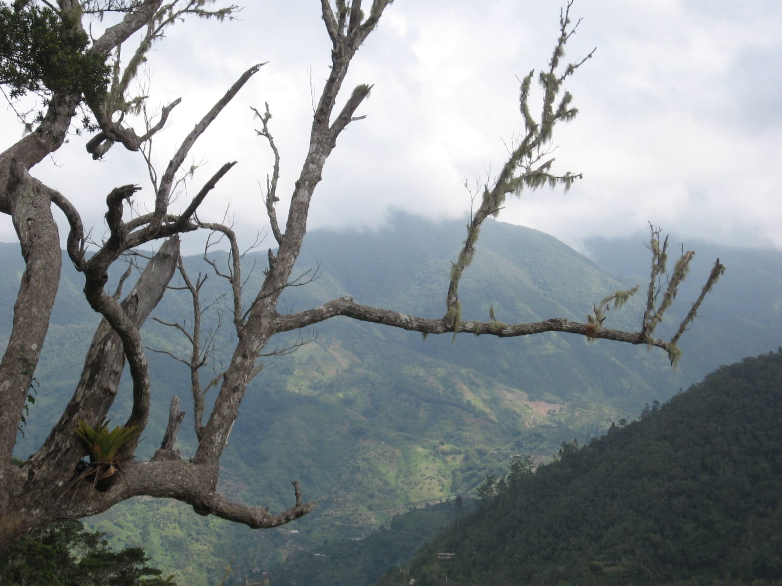 Layered blue-green mountain ridges fading into haze under a cloudy sky