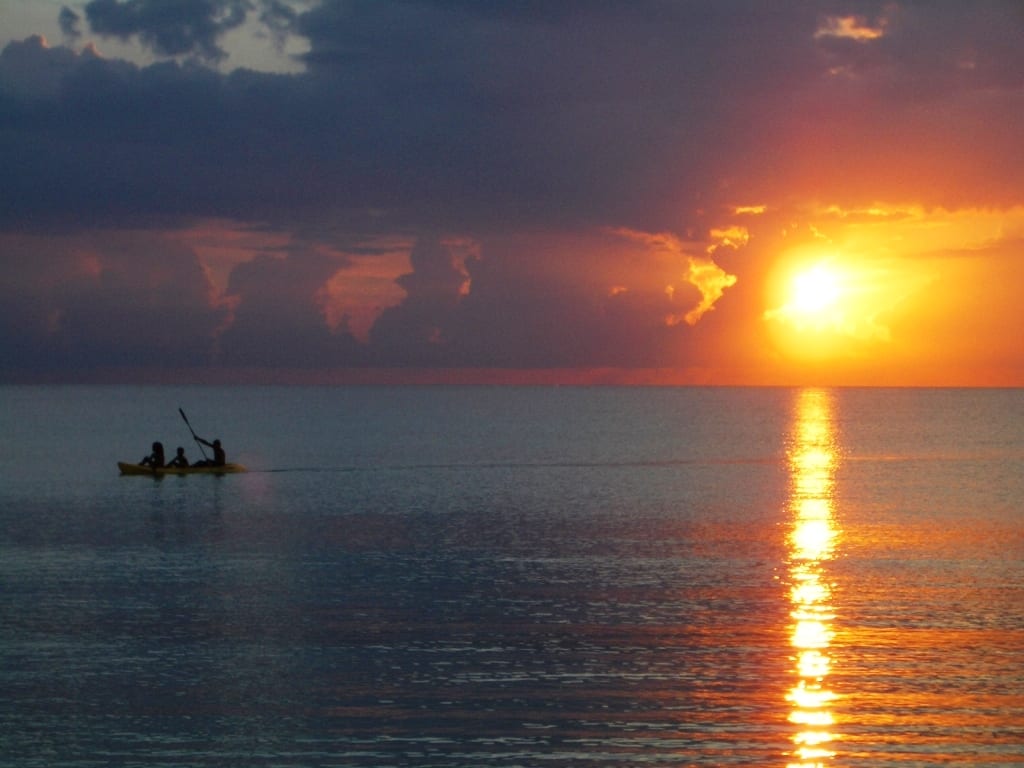 A long straight white beach curving away under palms with calm blue water