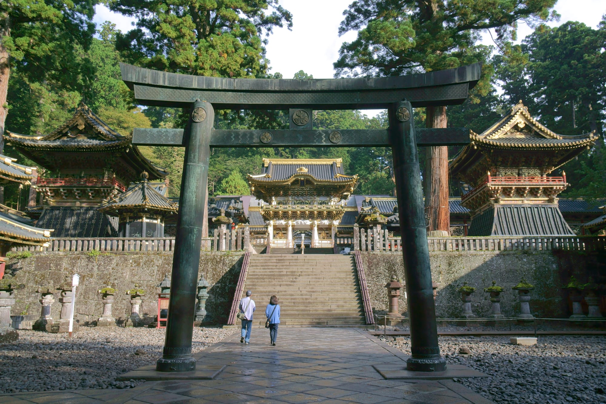 An elaborately carved and gilded shrine gate in a forest of tall cedars