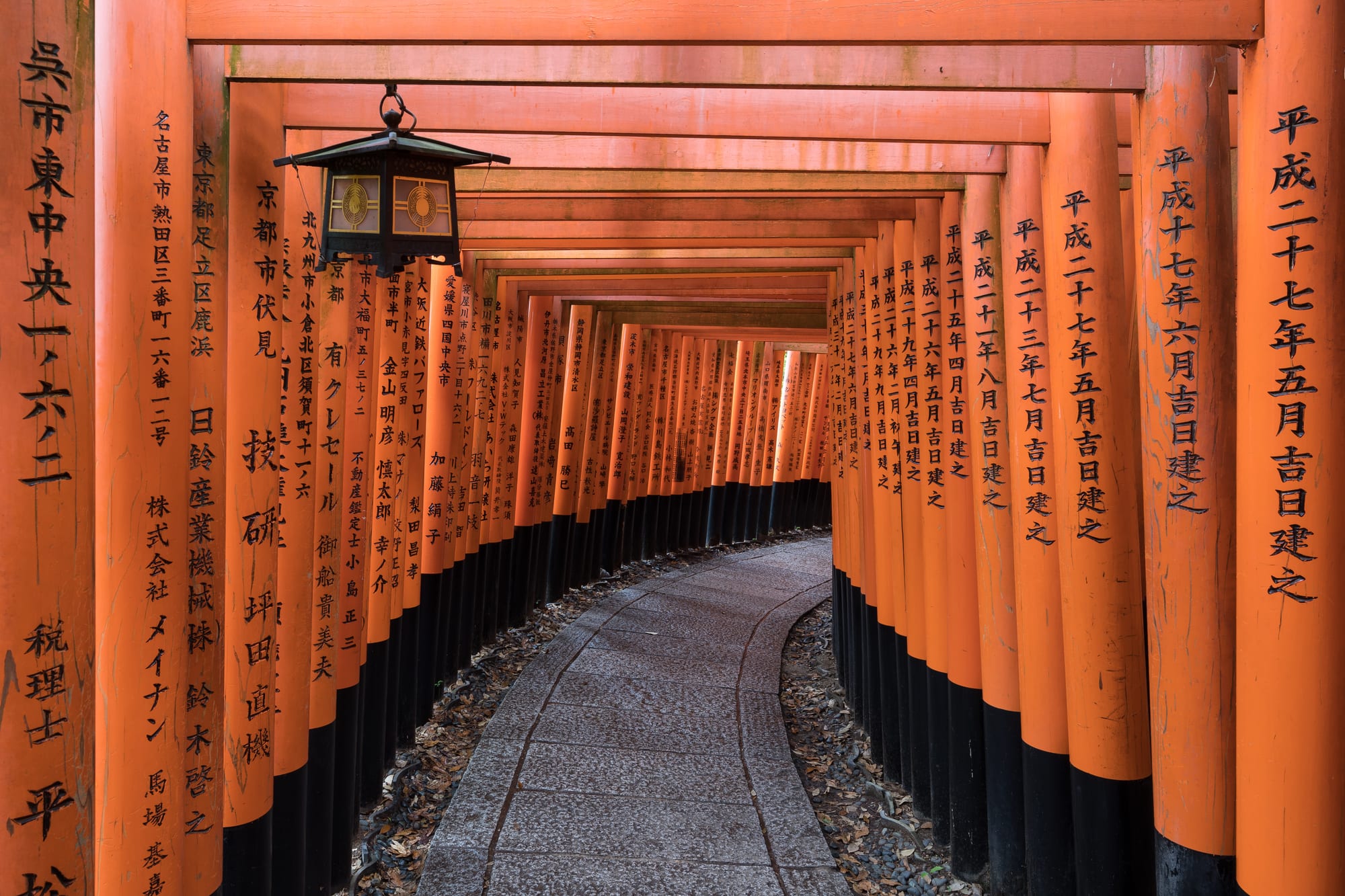 A tunnel-like path formed by hundreds of closely spaced vermilion torii gates