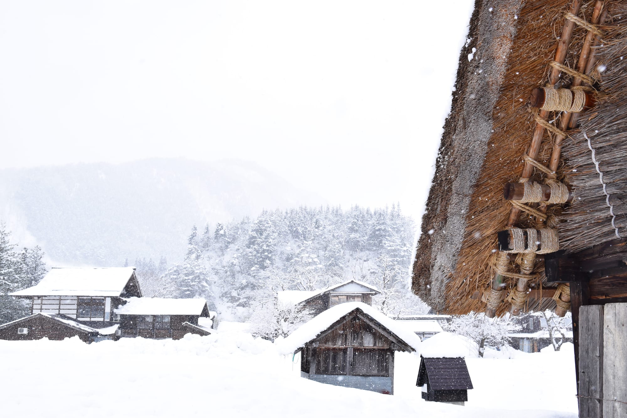 A village of steep thatched-roof farmhouses deep under snow, mountains behind