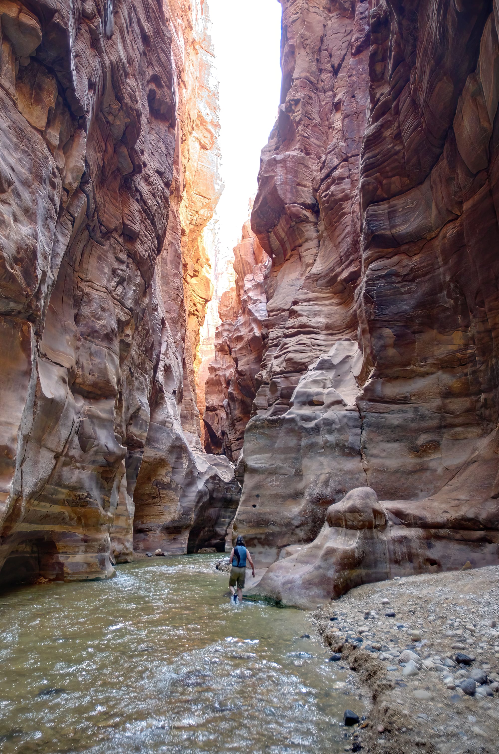 Hikers wading up a narrow river canyon between smooth red rock walls
