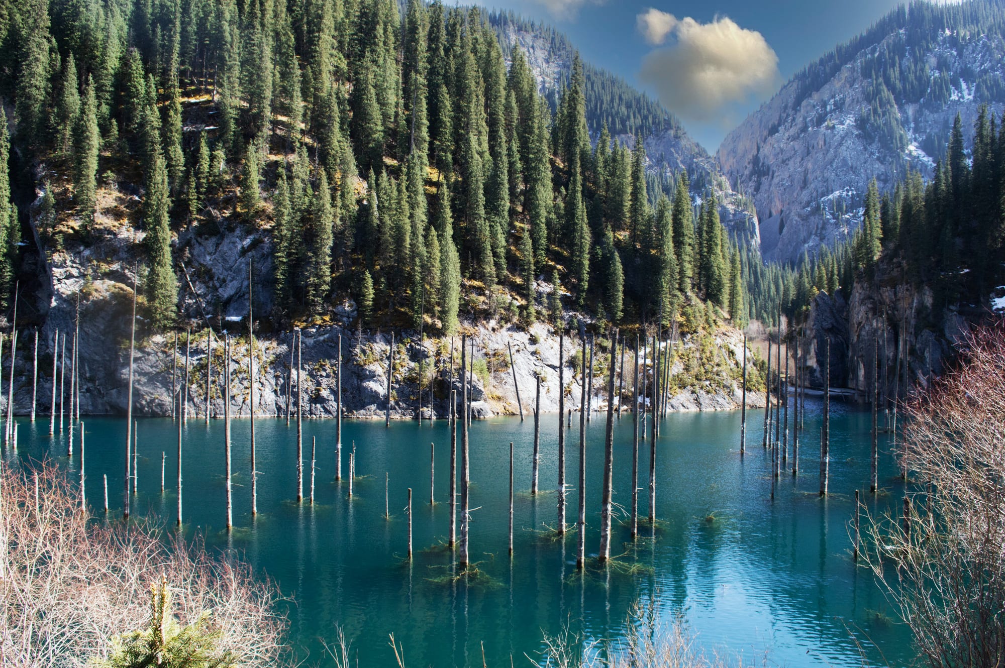 Bare white tree trunks standing upright out of a clear green mountain lake