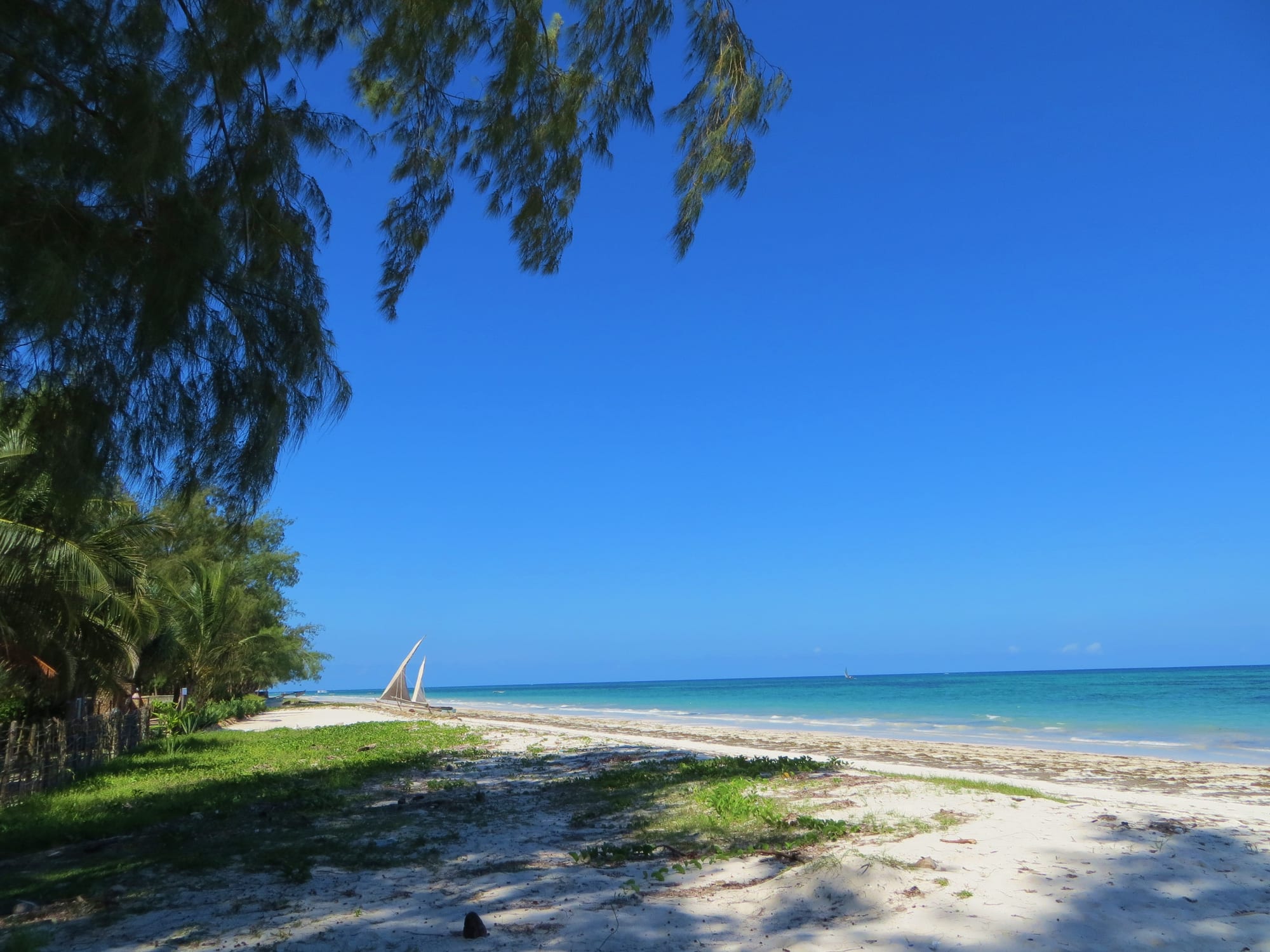 A wide white-sand beach with palms and turquoise water at low tide