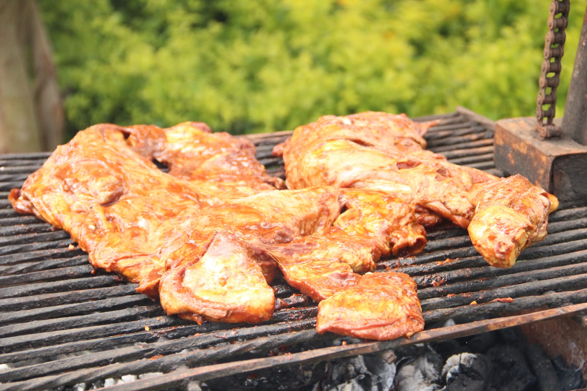 Pieces of grilled meat on a wooden board