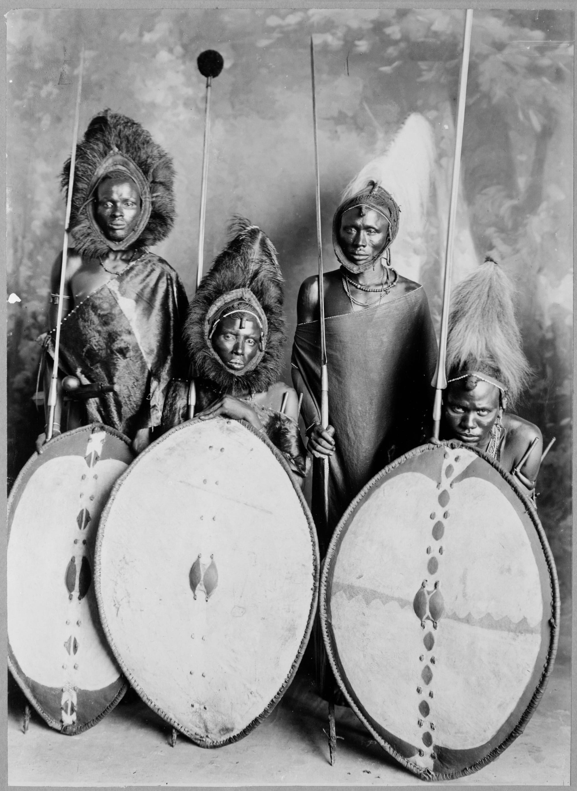 Four Maasai men in full ceremonial dress with spears and shields, early 20th century