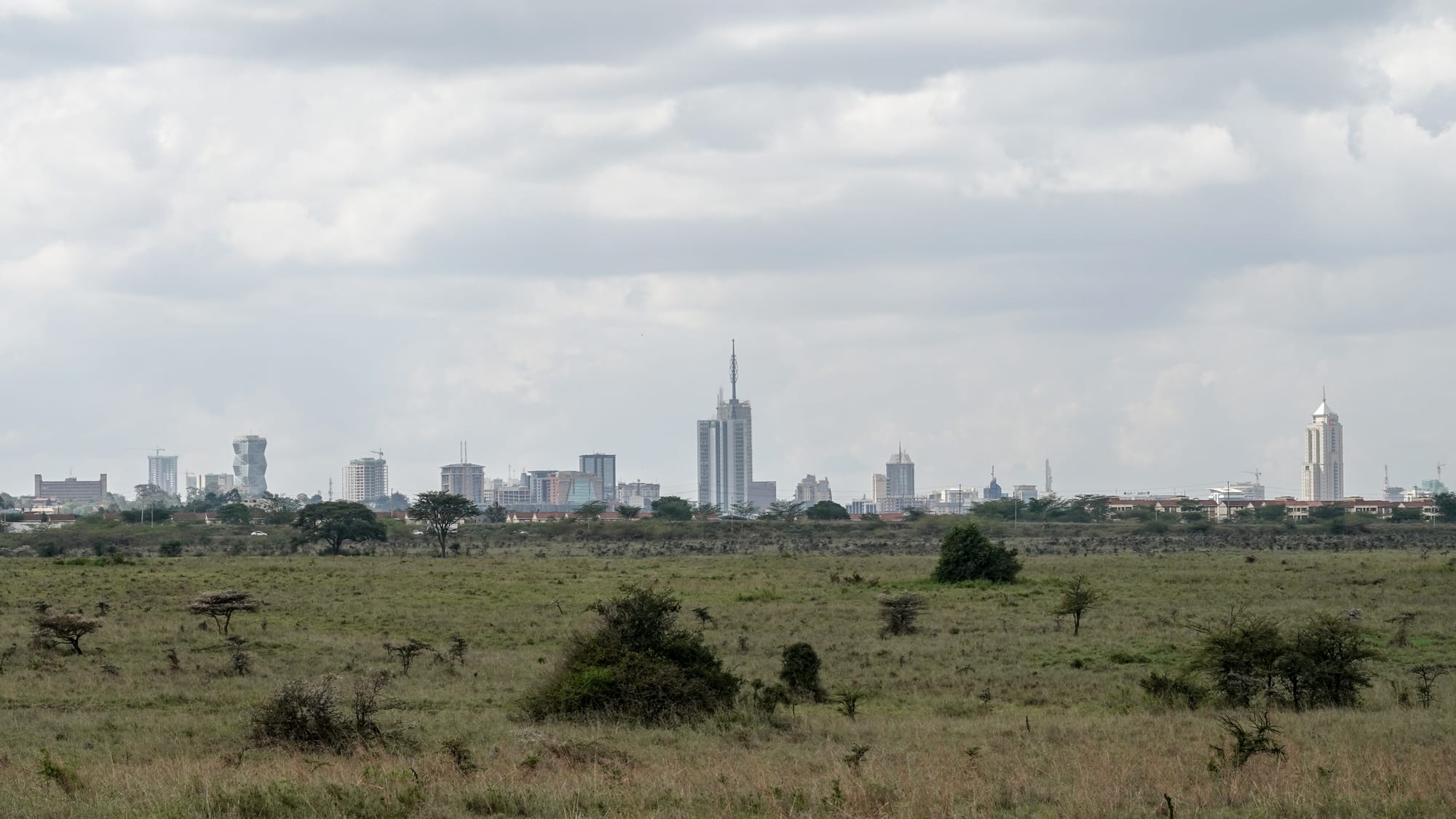 The high-rise skyline of Nairobi seen across the grassland of Nairobi National Park