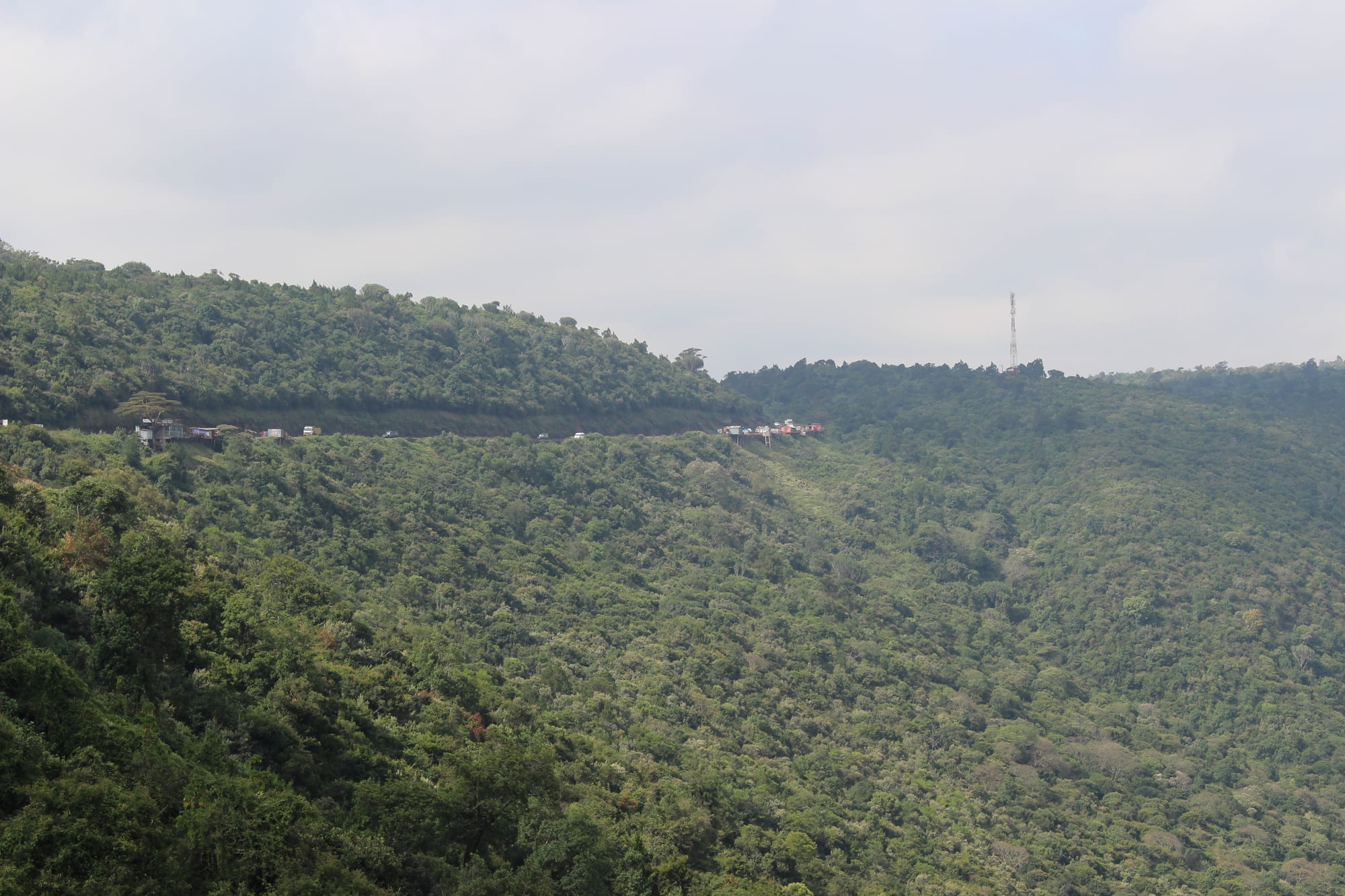 A broad valley floor with a lake and volcanic cones, seen from a forested escarpment