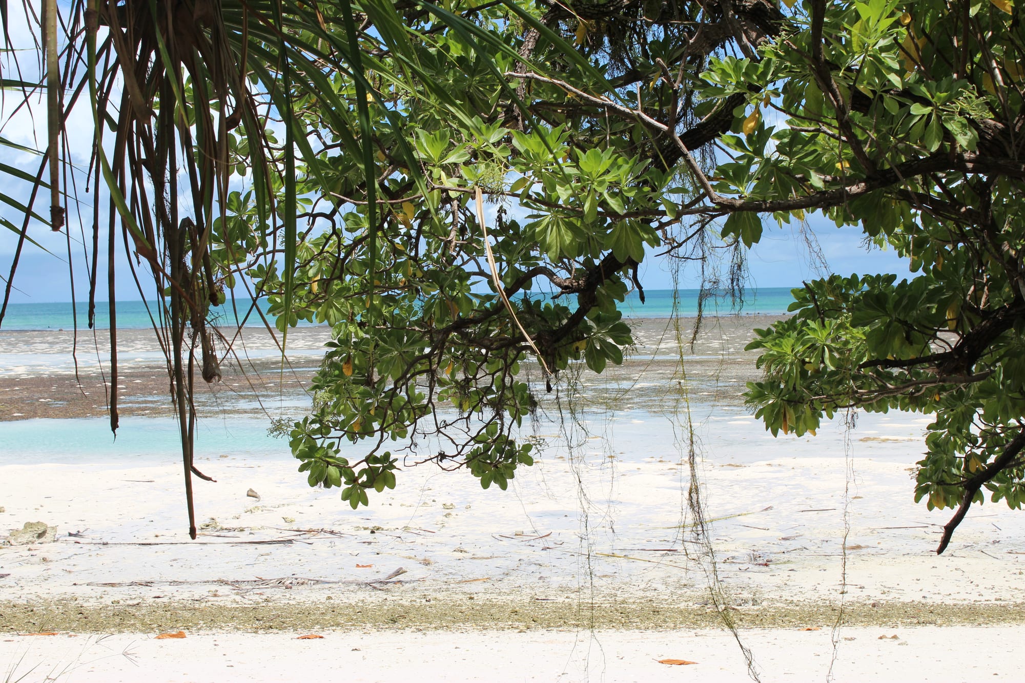 A quiet palm-fringed lagoon shore with a few thatched shelters and an outrigger canoe