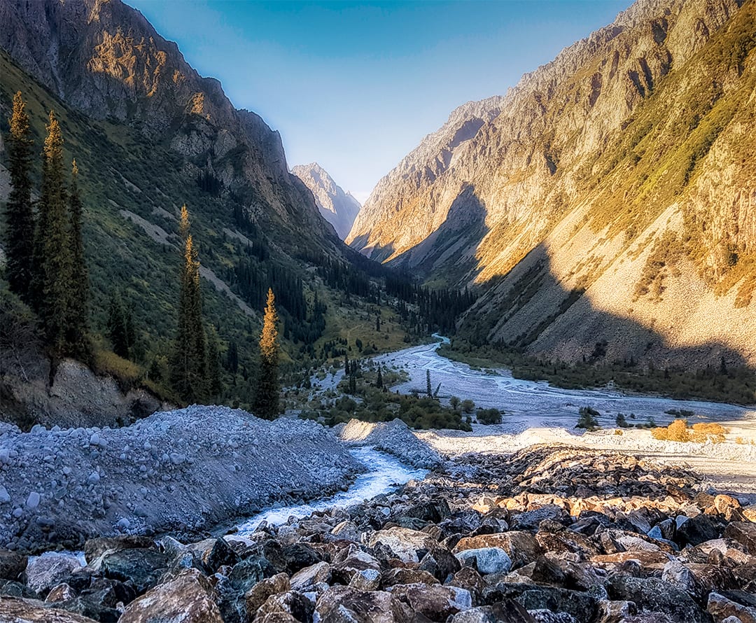 A glacial valley of pine forest and scree leading up to sharp snow-covered peaks