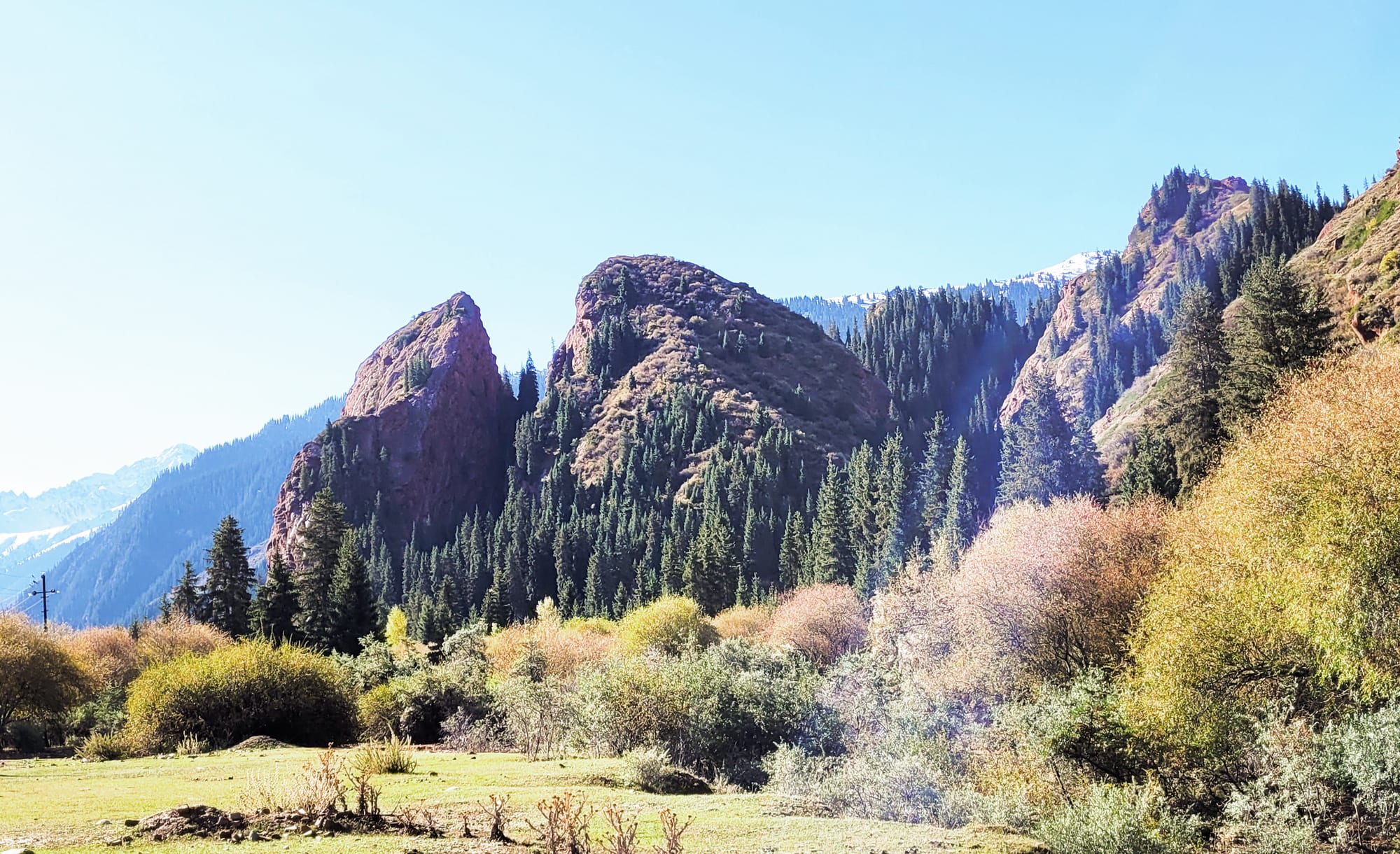 A tall red sandstone cliff split by a vertical cleft, above green pine slopes
