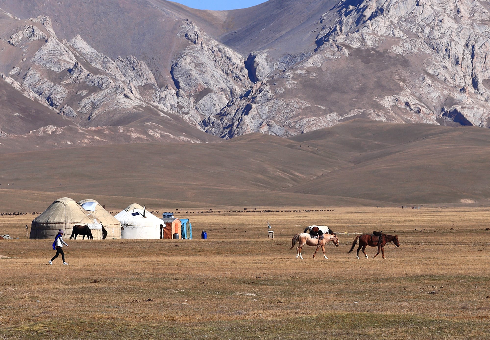 A high alpine lake ringed by rolling green pasture and snow-streaked mountains, with grazing horses