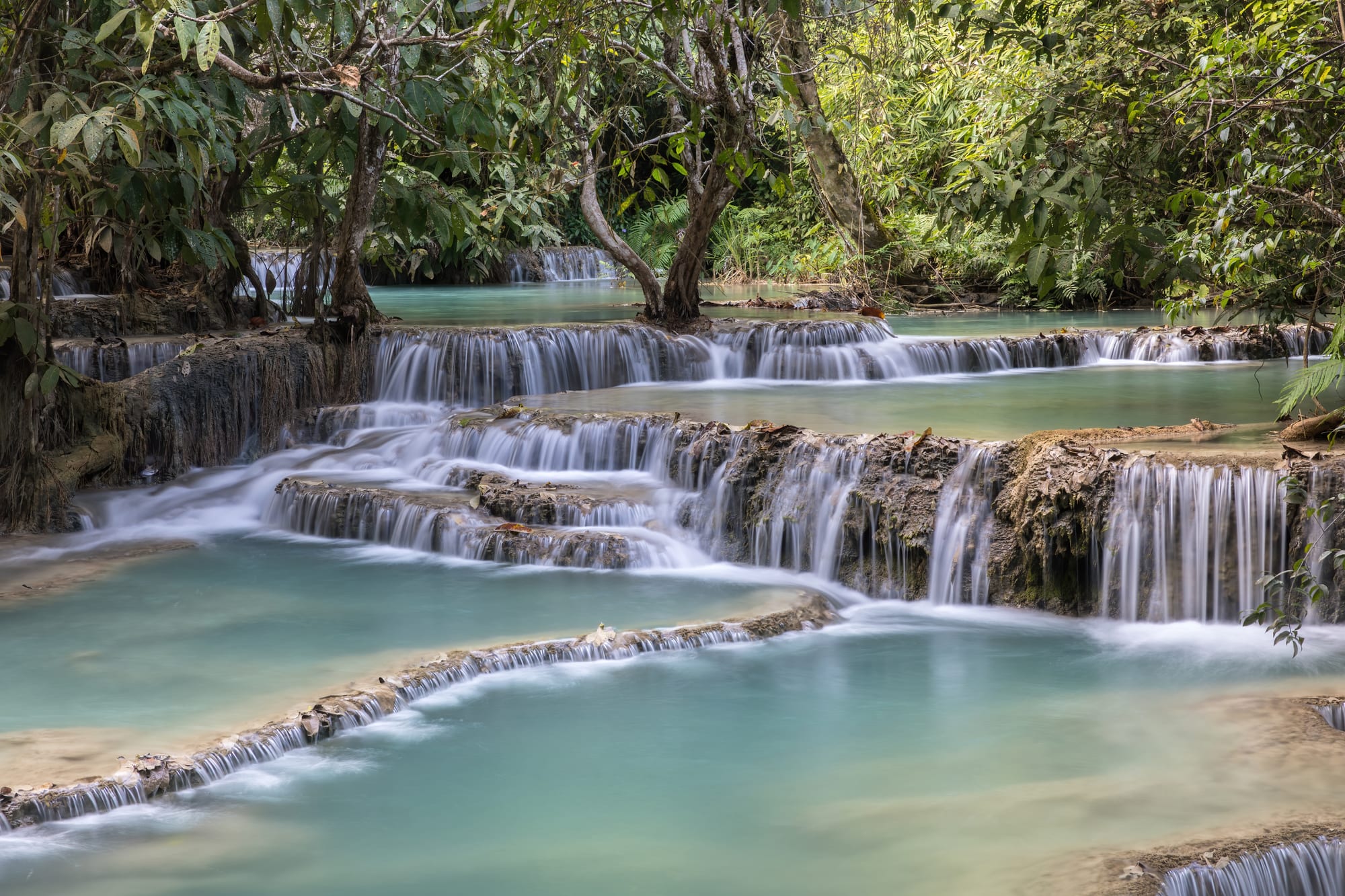 Turquoise water cascading over multiple tiers of limestone pools in a forest