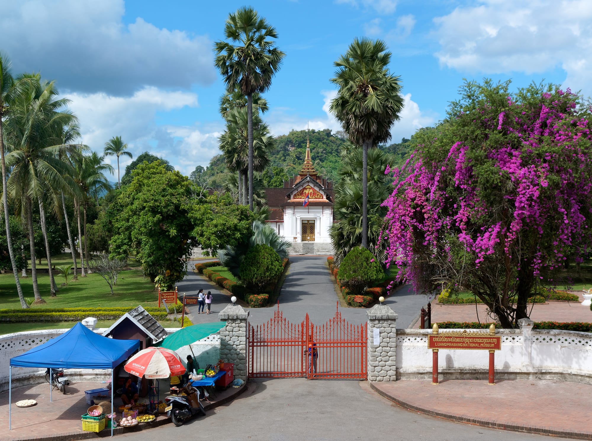 A white single-storey palace with a gilded spire, seen down a driveway lined with tall sugar palms and flowering bougainvillea, with a red gate in the foreground