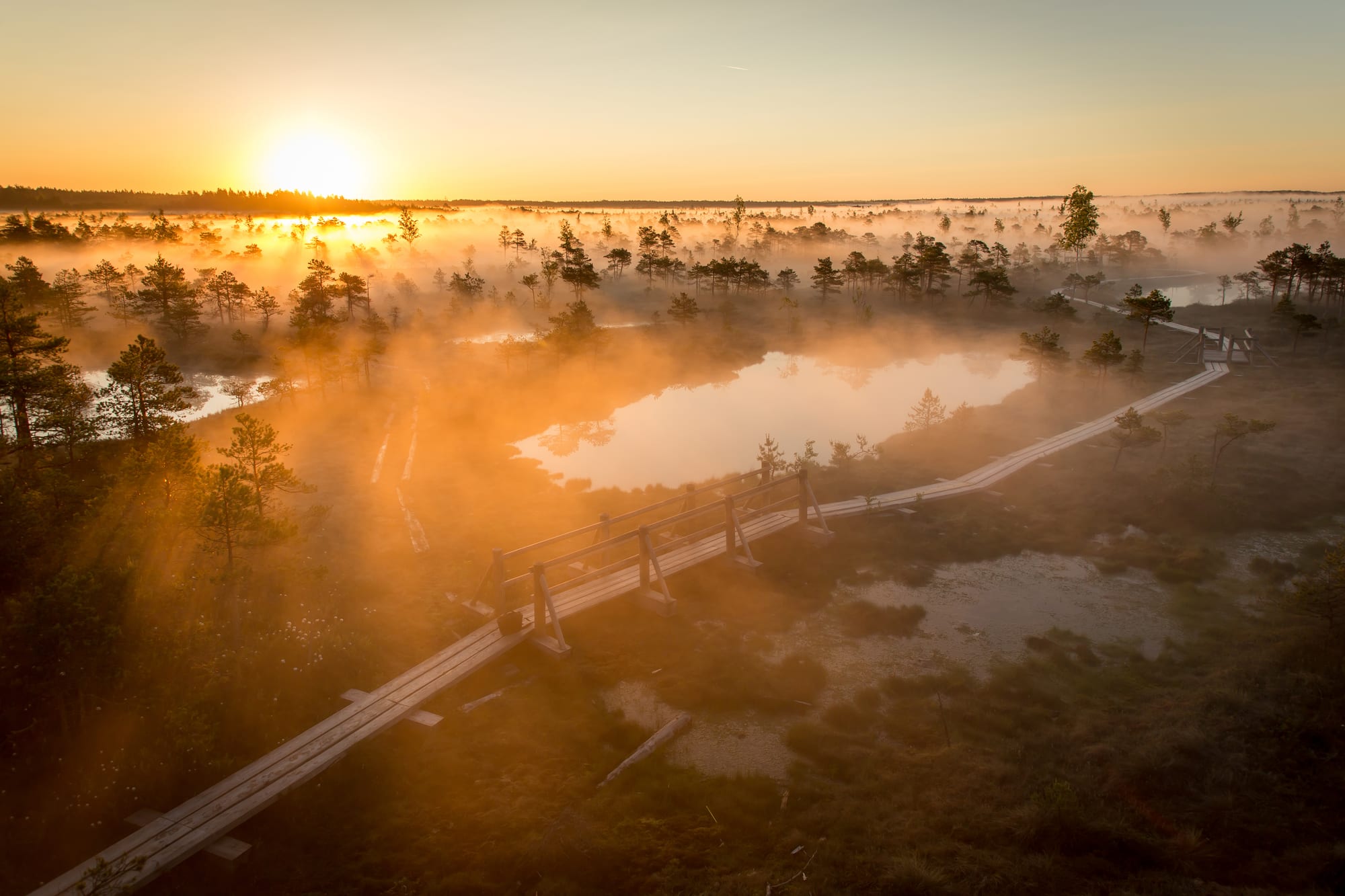 A wooden boardwalk running across a flat wetland of small pools and low vegetation