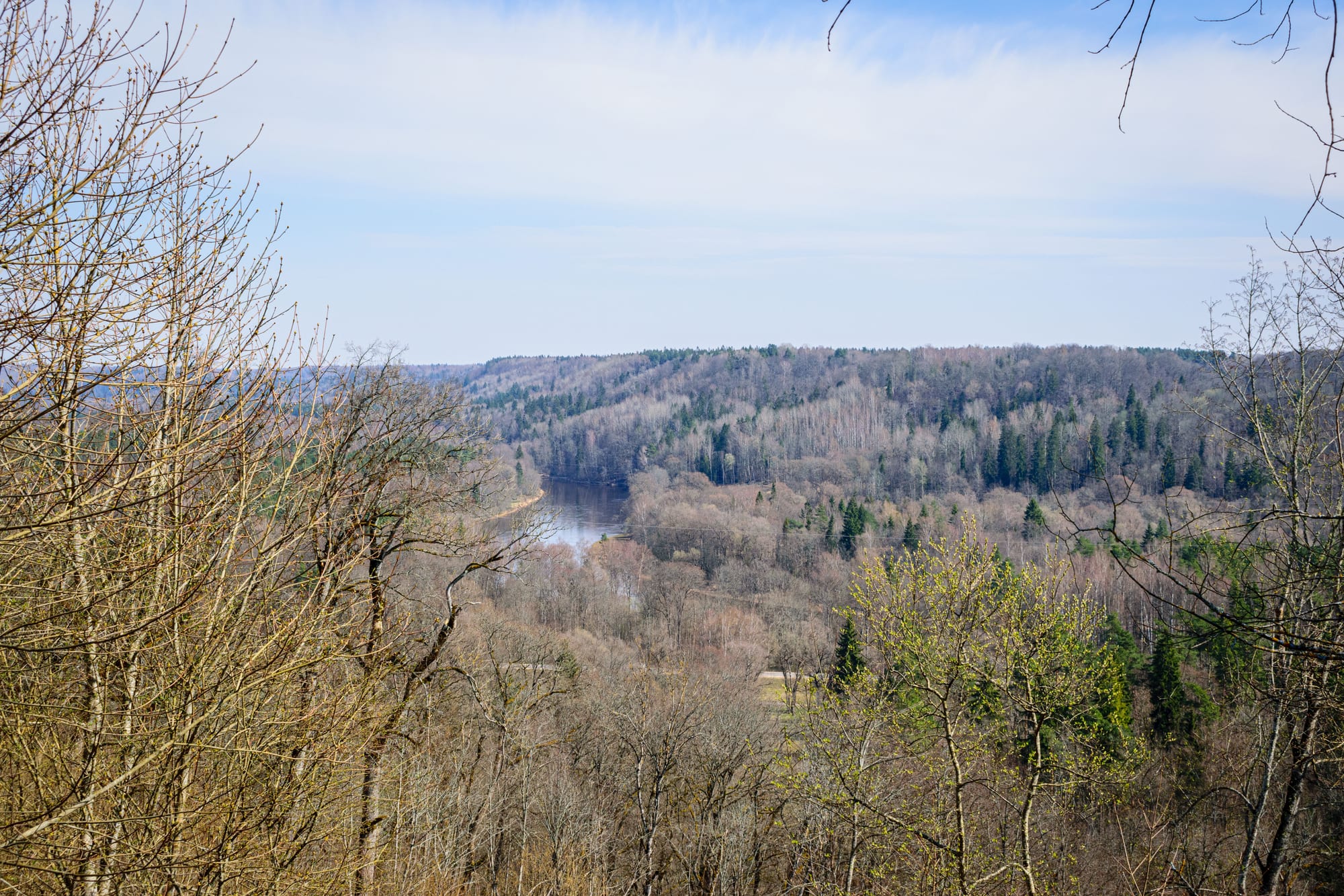 A wide, forested river valley with sandstone cliffs, seen from a high viewpoint