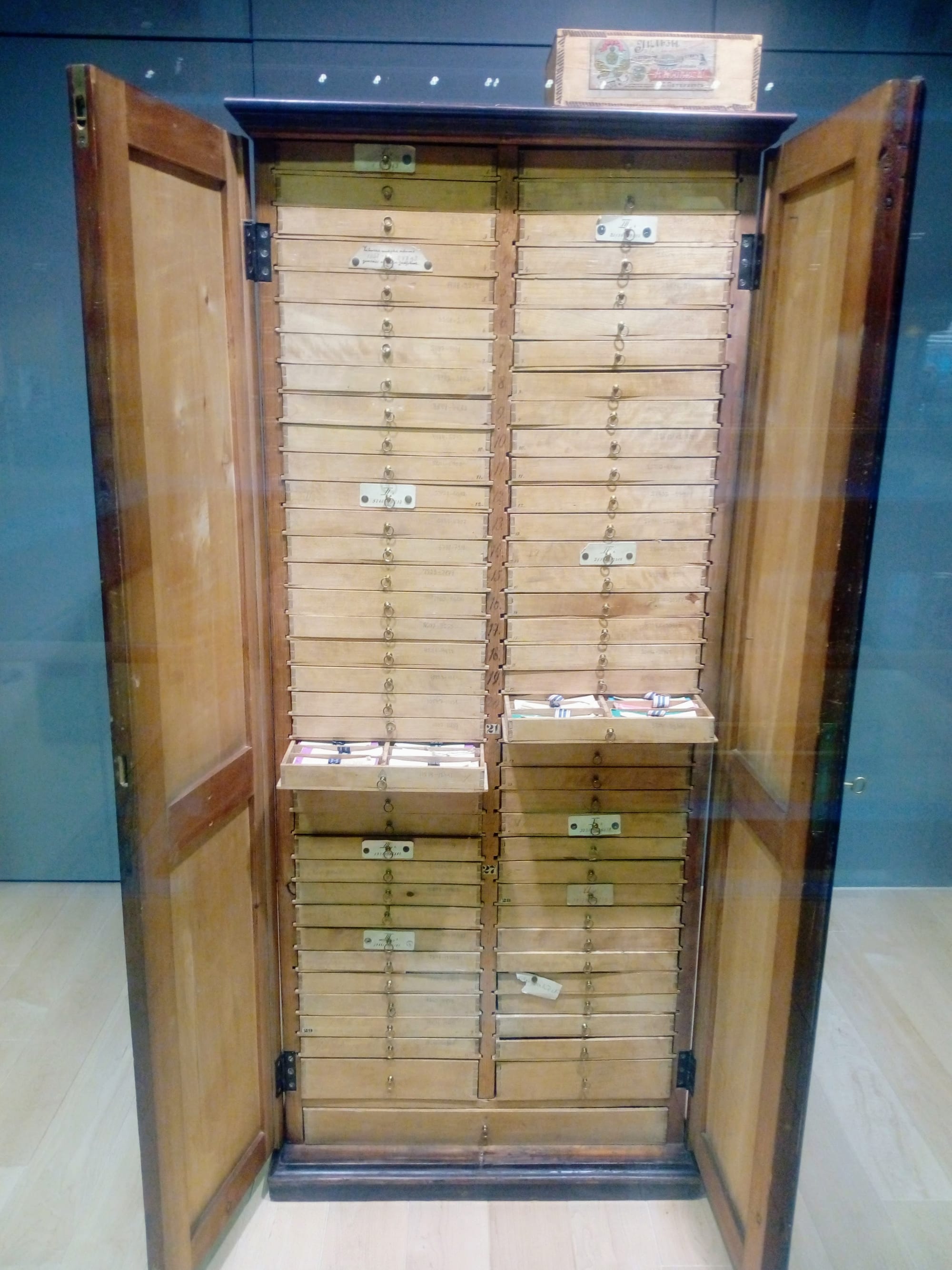 A tall wooden cabinet with its two doors open, showing two columns of small numbered drawers, two of them pulled out to reveal slips of paper, inside a glass display case