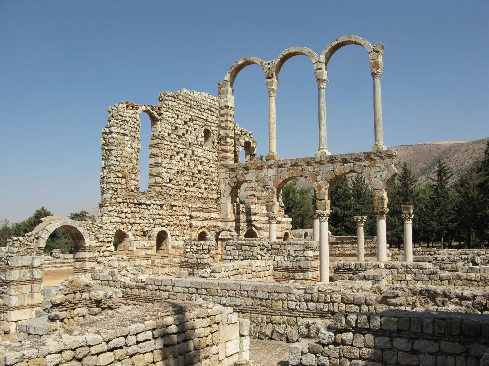 Rows of stone columns and ruined walls of a rectangular ancient city, mountains behind