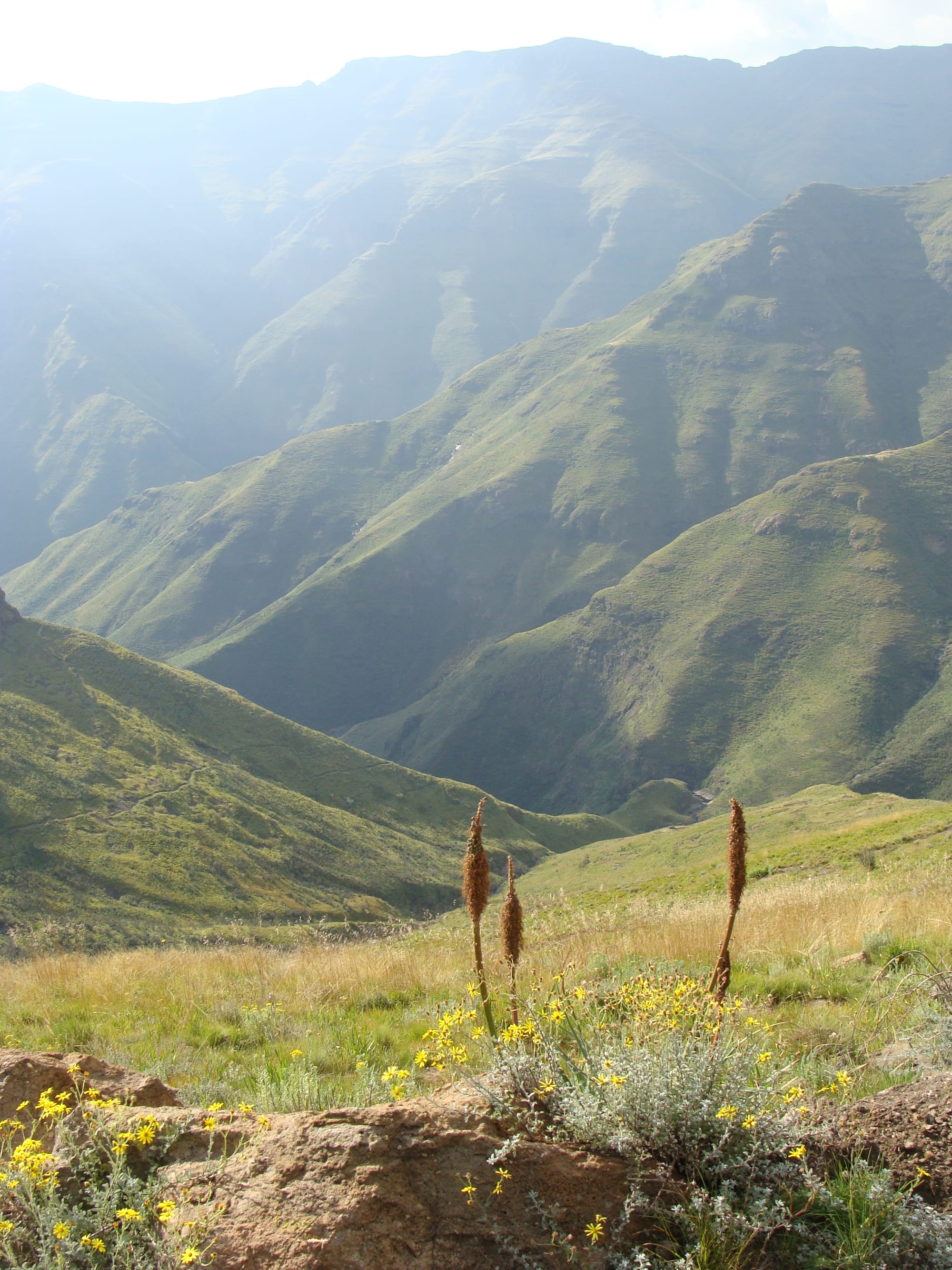 A green mountain valley with a river, ringed by high peaks