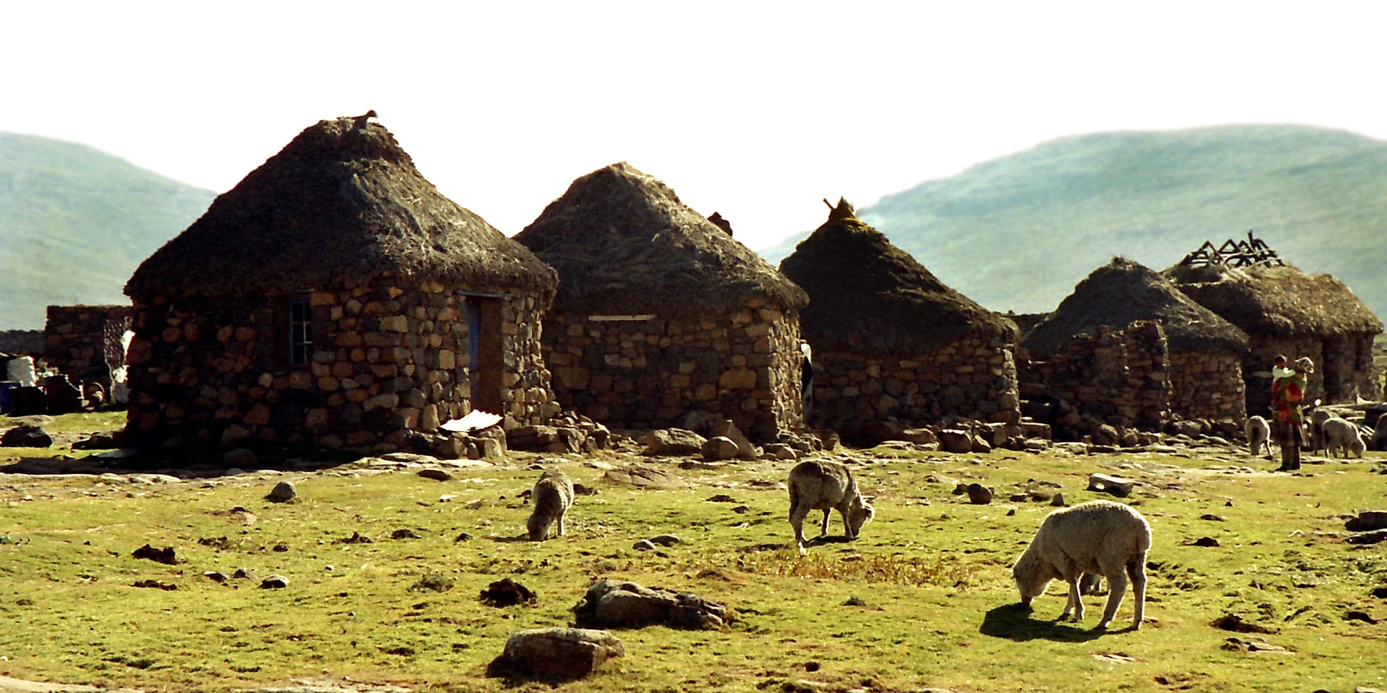 Stone rondavel huts with thatched roofs on a hillside, with sheep grazing in the foreground and a person in a patterned blanket standing near the huts