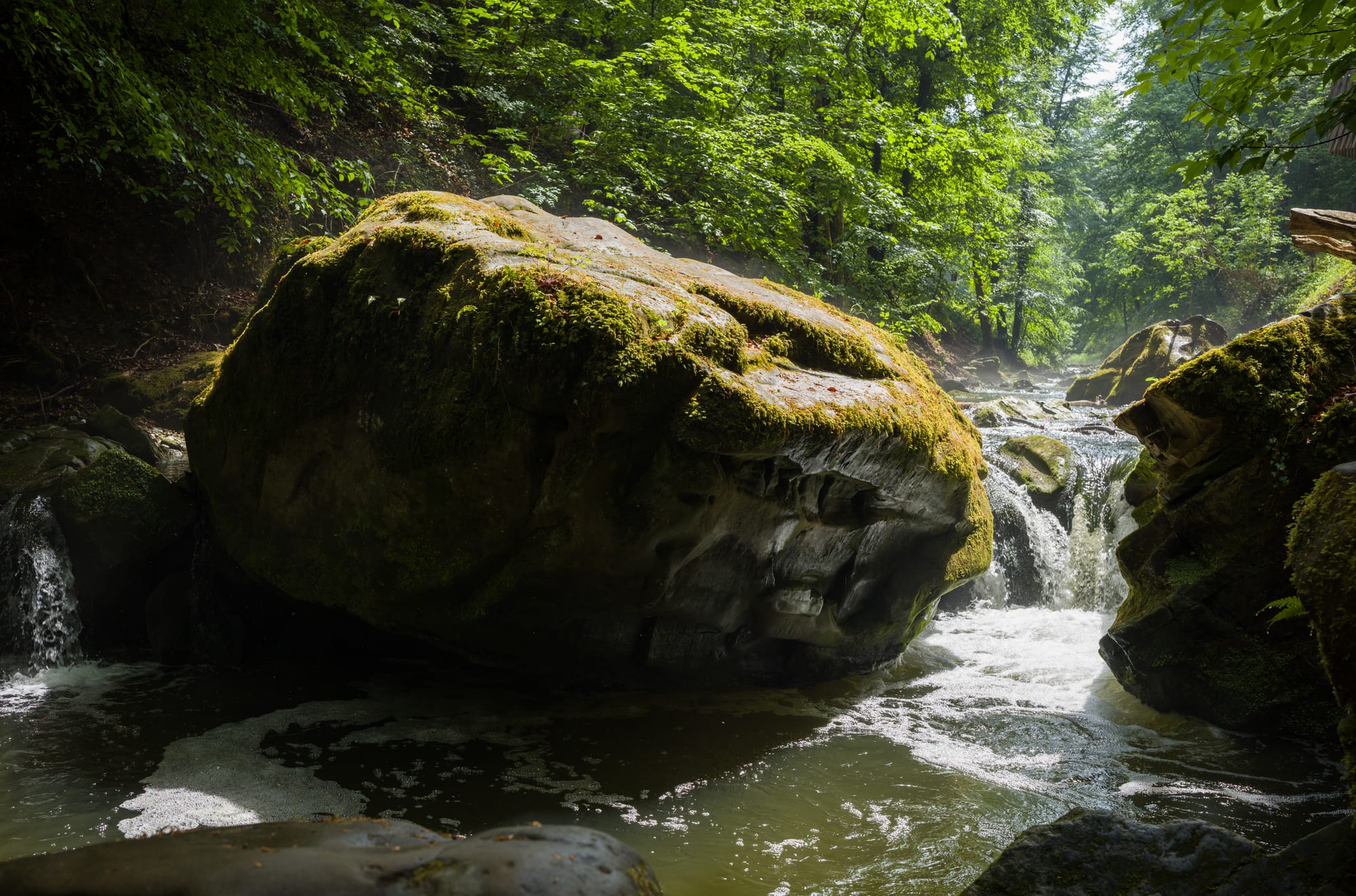 A forest hiking path winding between tall moss-covered sandstone rock formations