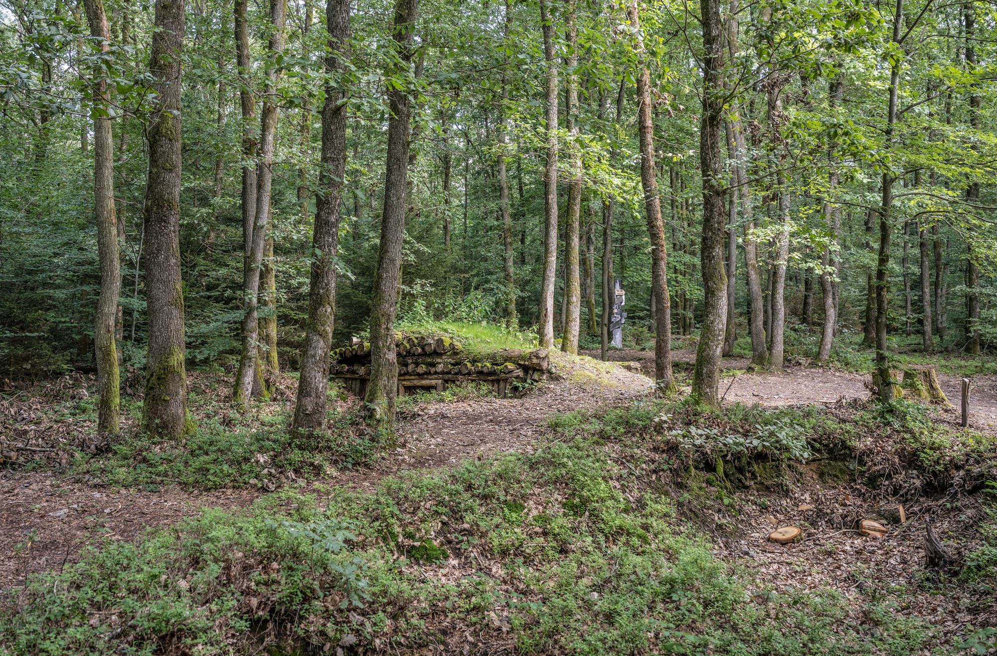 A weathered stone memorial and information marker on a forest trail in the Luxembourg Ardennes