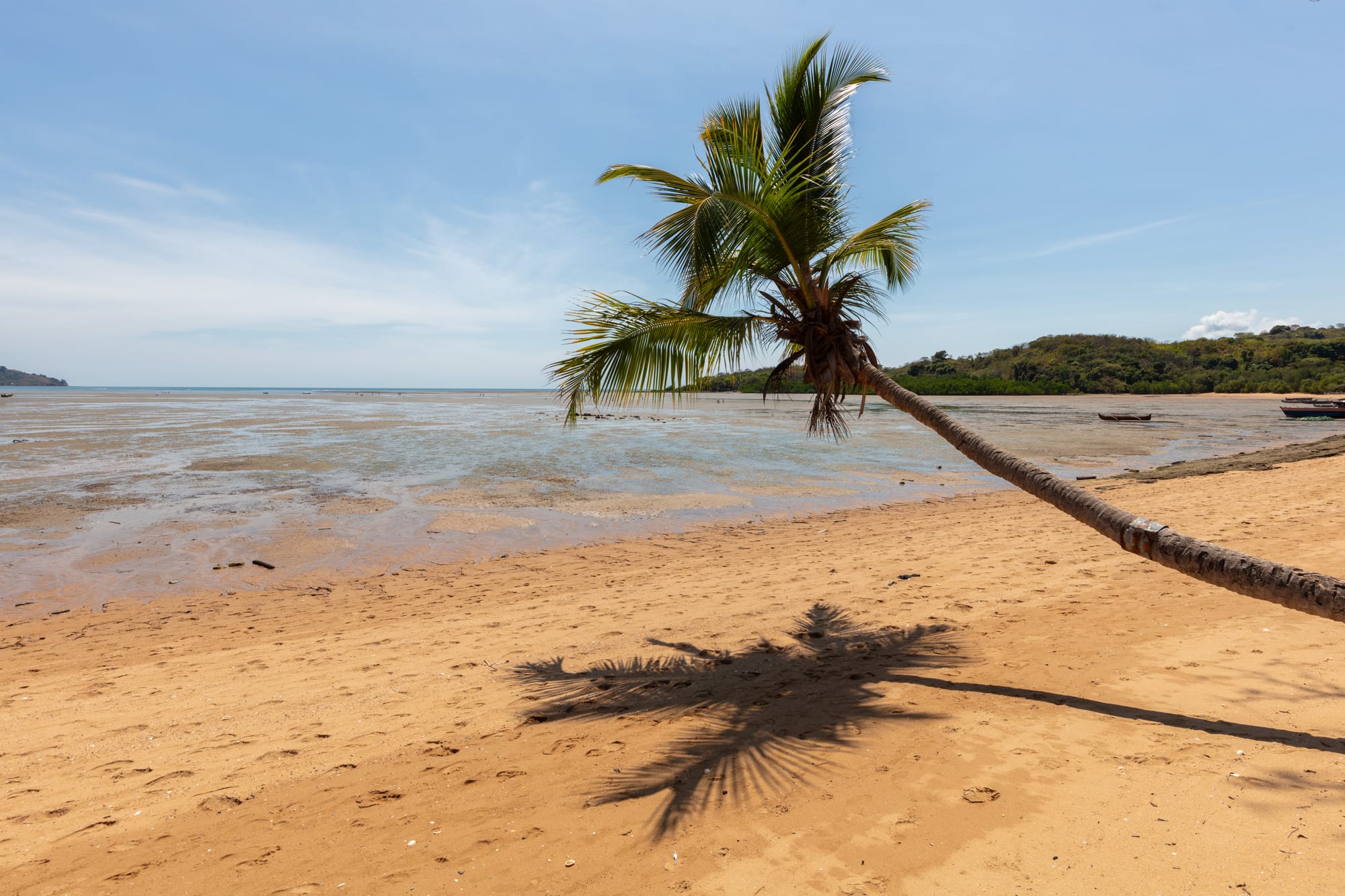 A calm turquoise bay with fishing boats and palm-lined shore