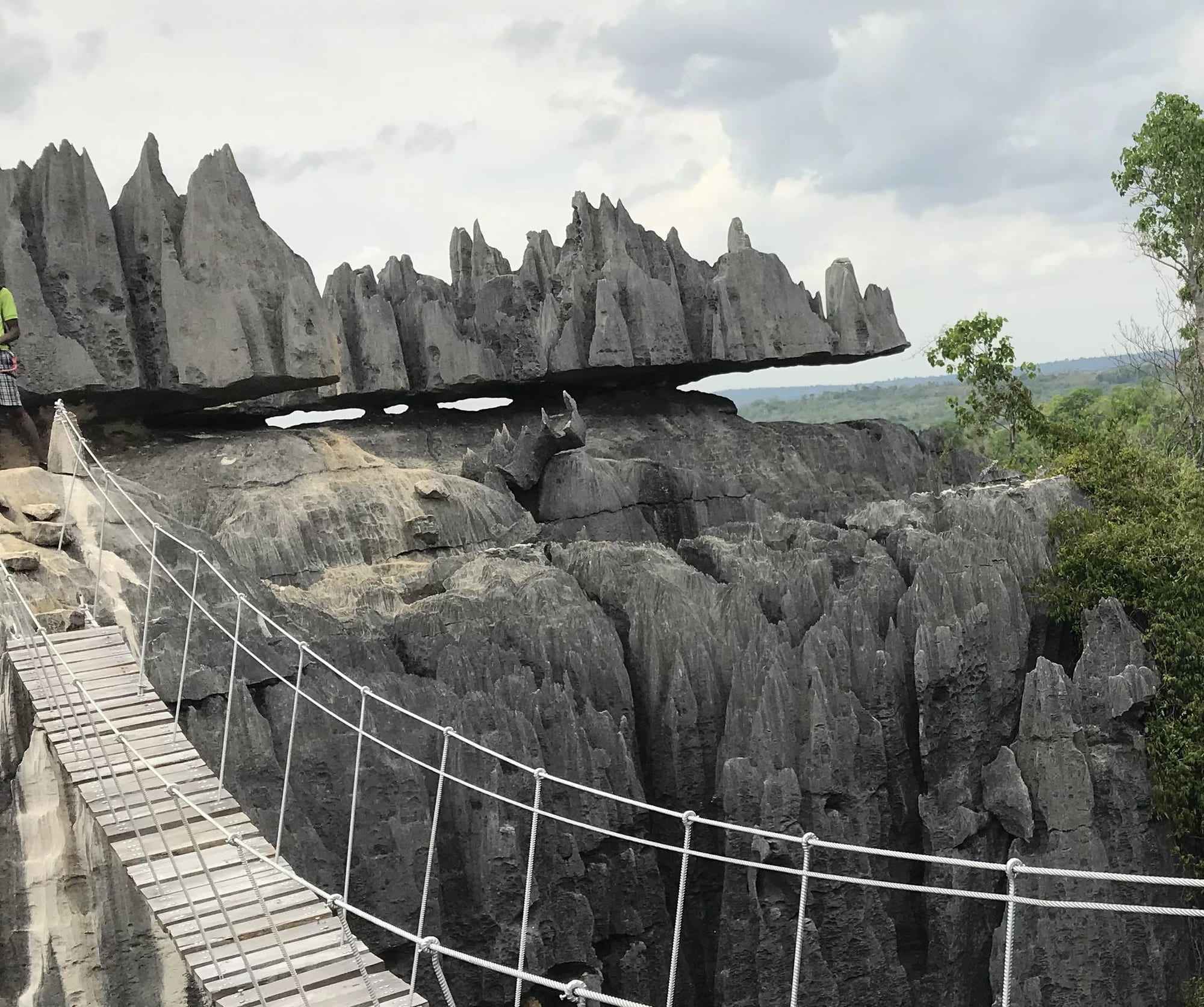 A vast field of sharp grey limestone spikes and pinnacles stretching to the horizon